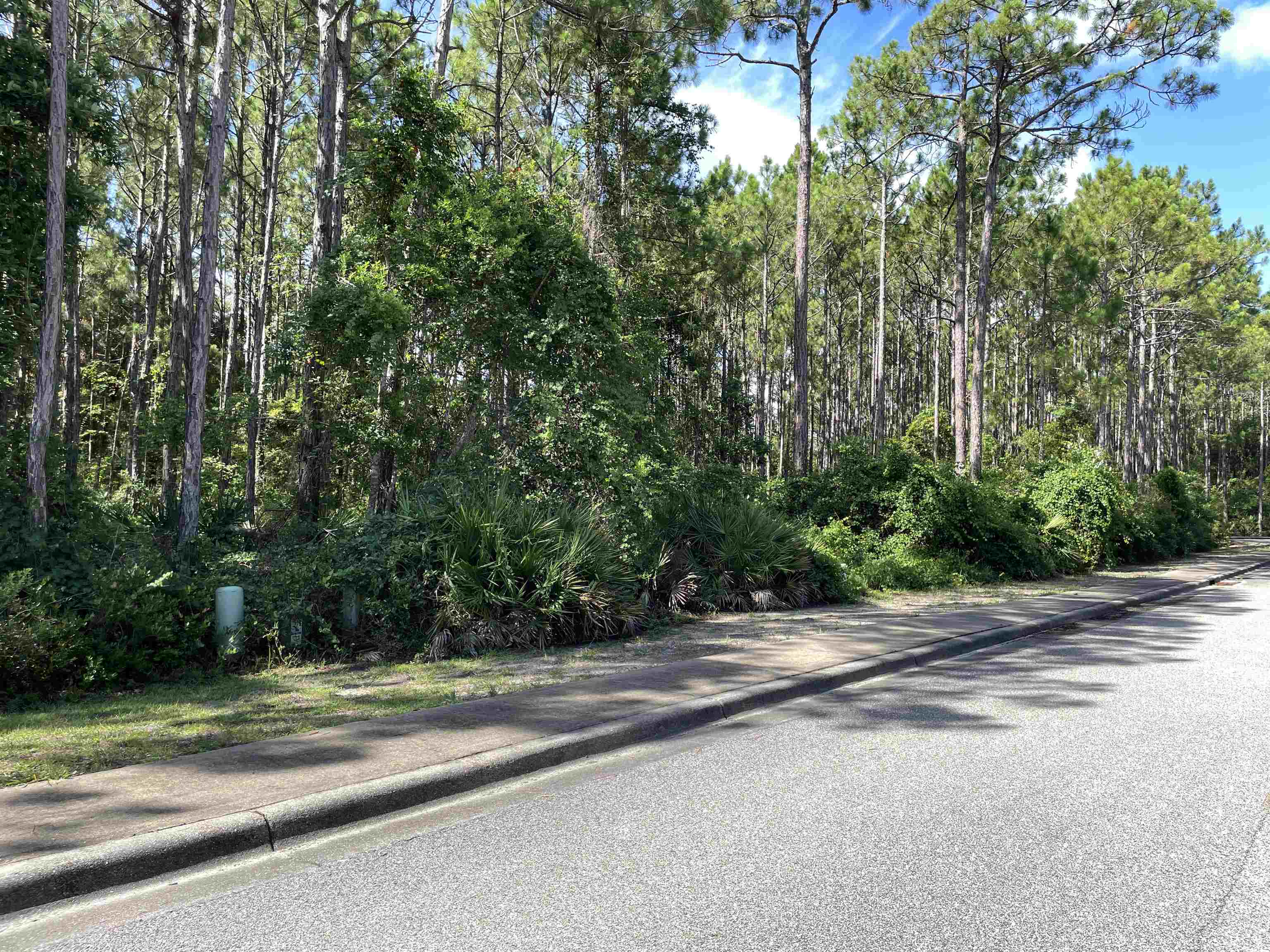 118 White Pelican Way, Carrabelle, Florida image 7
