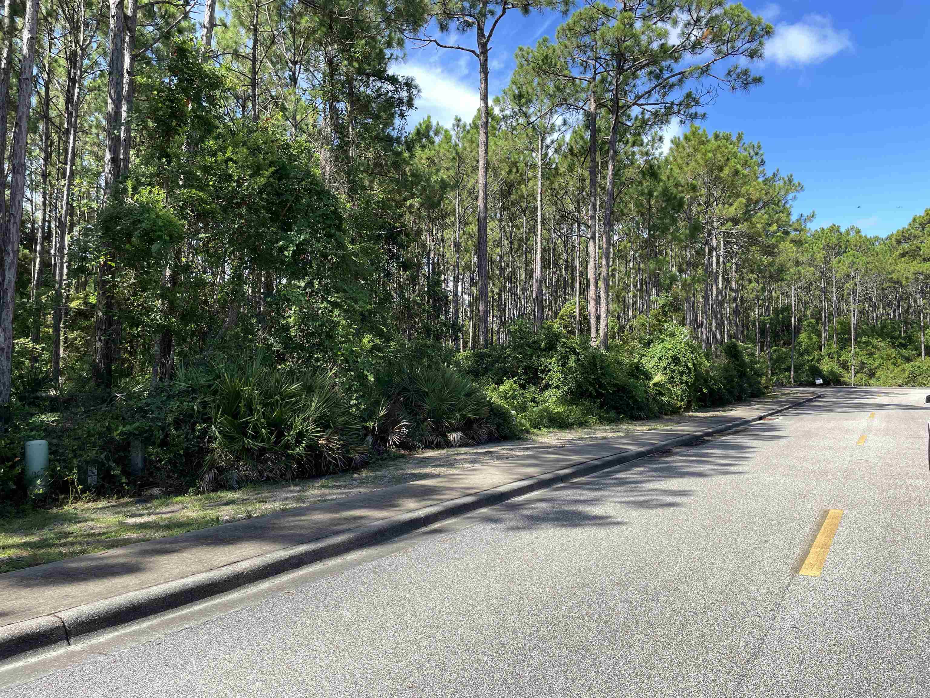118 White Pelican Way, Carrabelle, Florida image 8