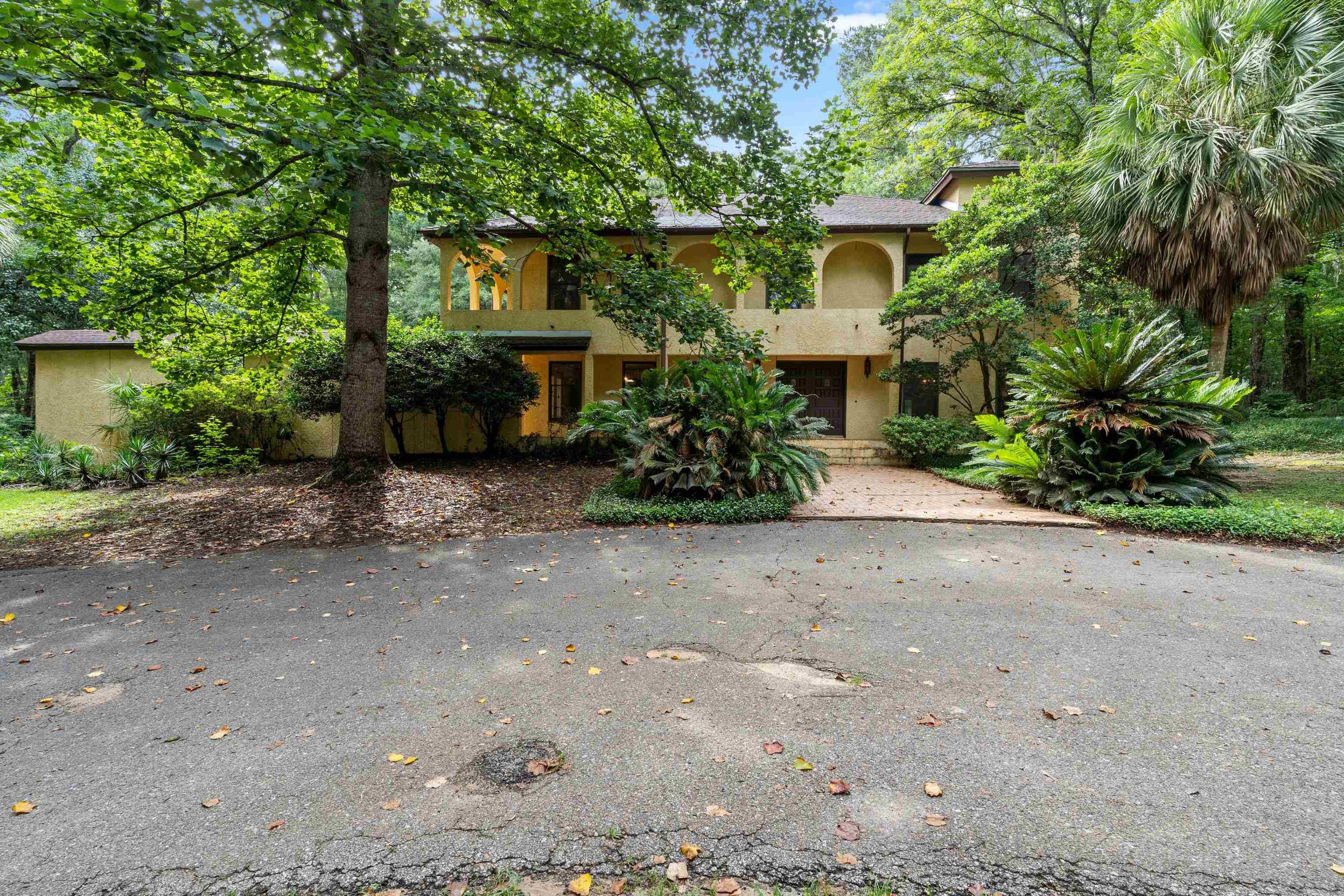 6375 Thomasville Road, Tallahassee, Florida image 3