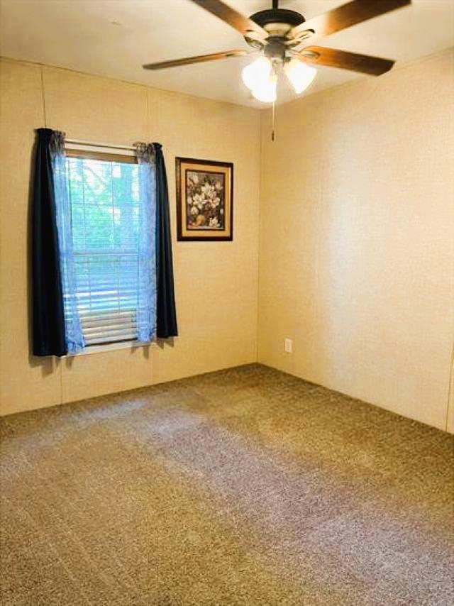 234 Dogwood Drive, Crawfordville, Florida image 13