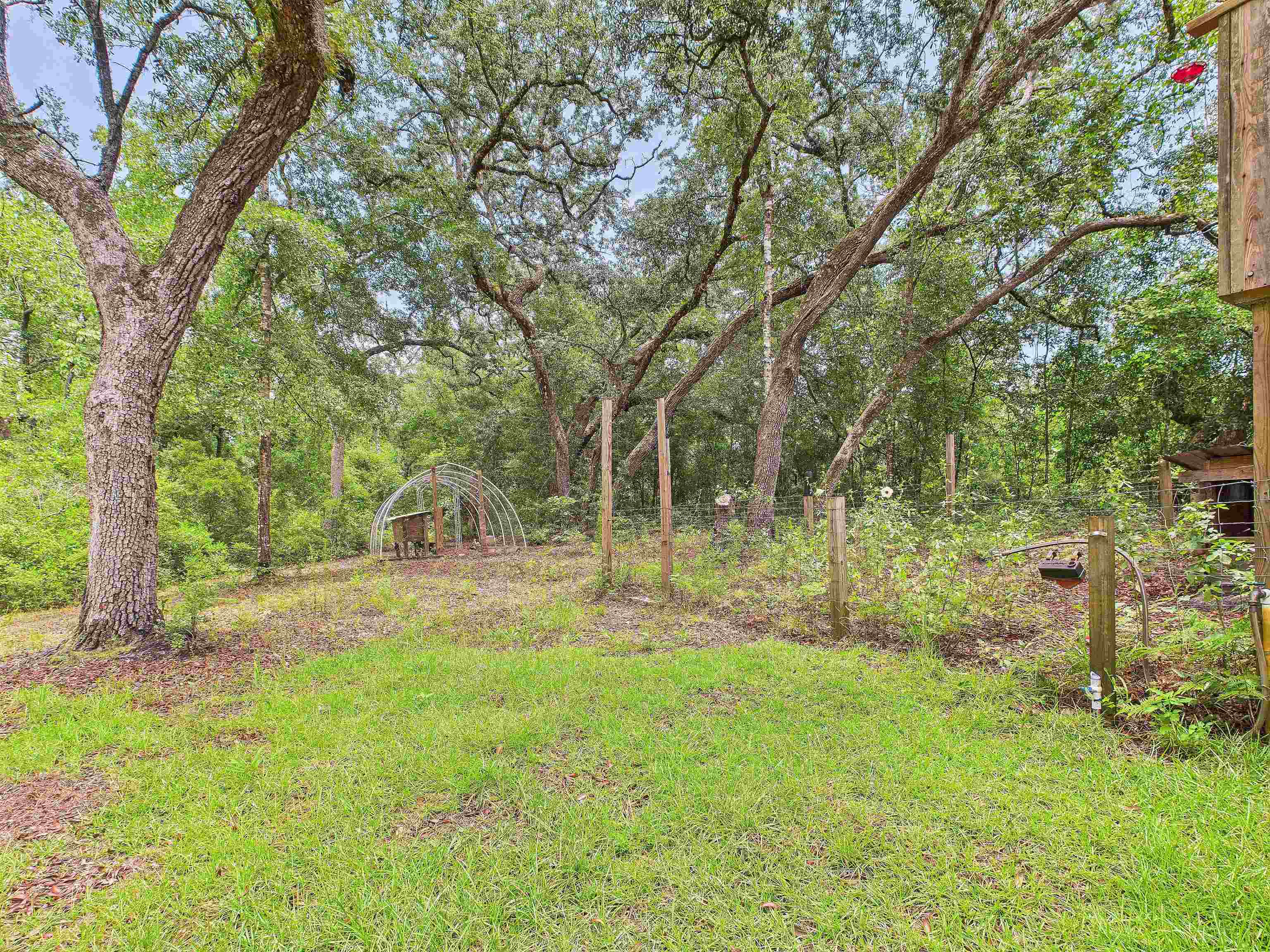 6100 Ira L Smith Road, Greenville, Florida image 14
