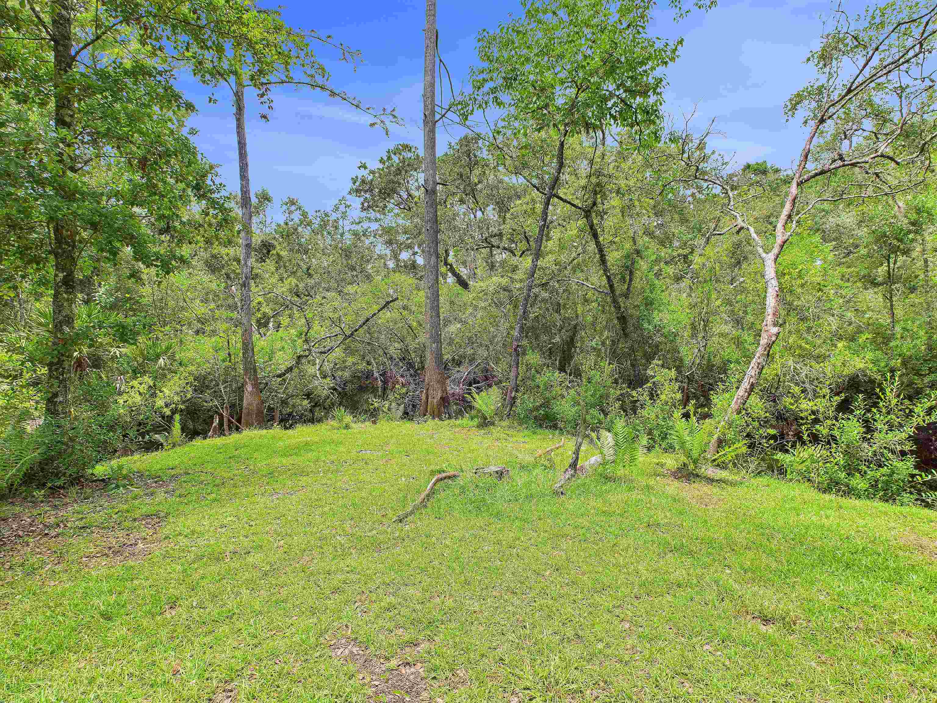 6100 Ira L Smith Road, Greenville, Florida image 15