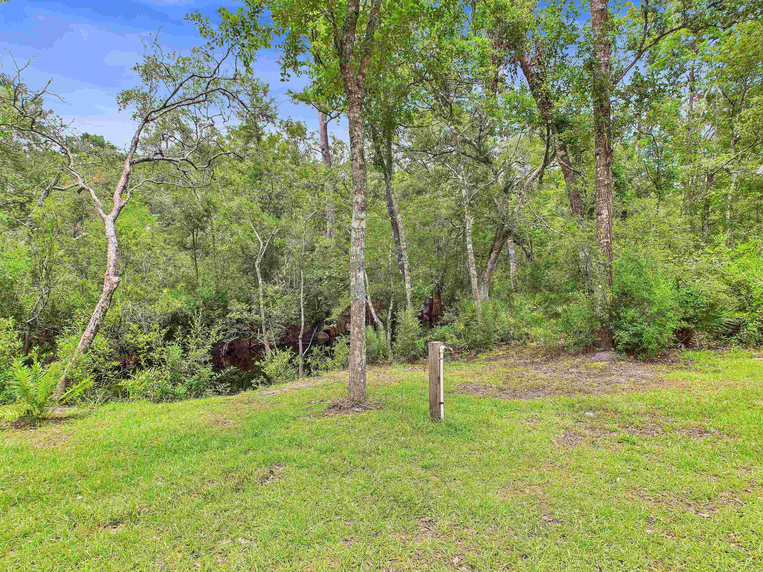 6100 Ira L Smith Road, Greenville, Florida image 16