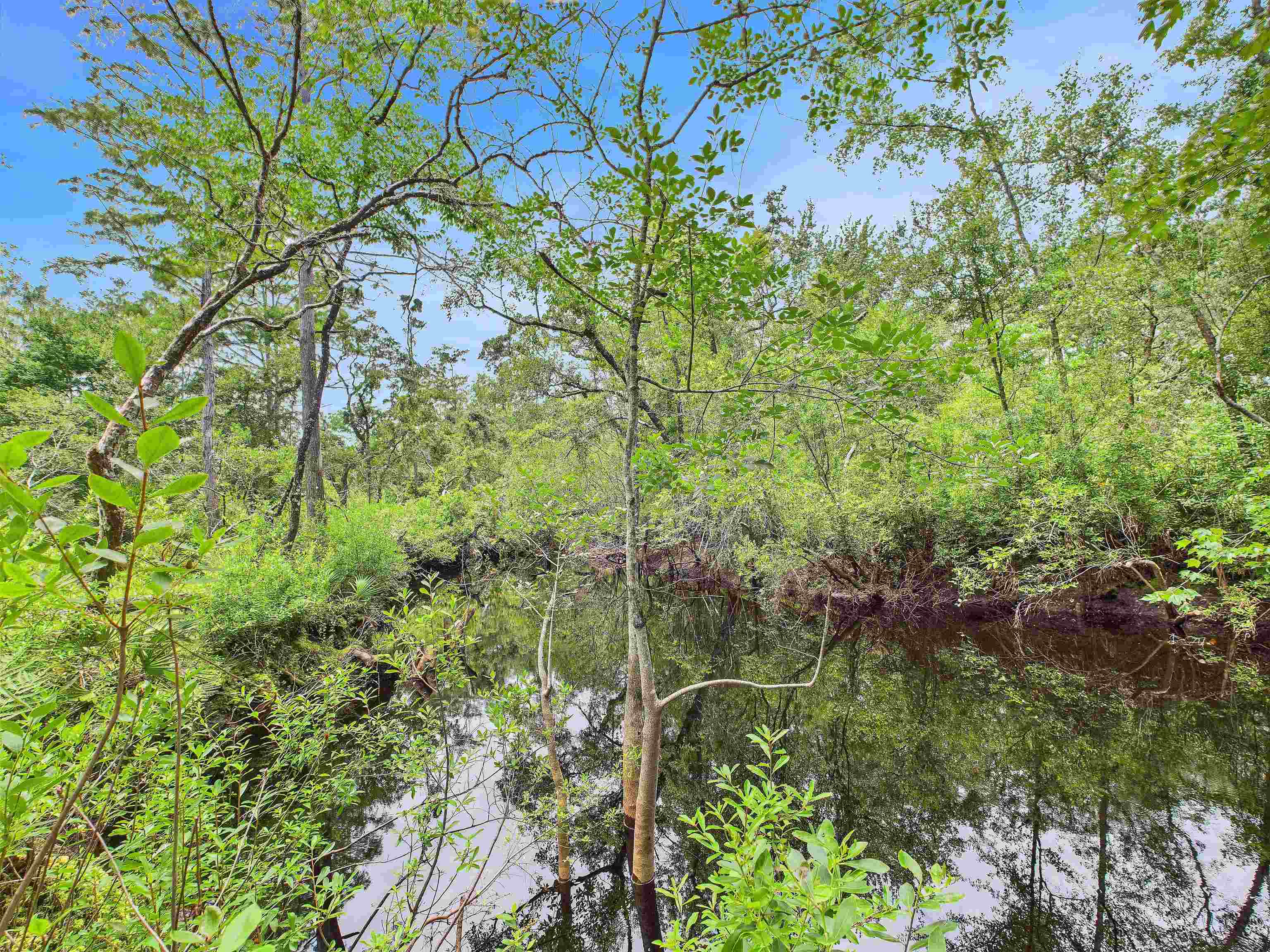 6100 Ira L Smith Road, Greenville, Florida image 19