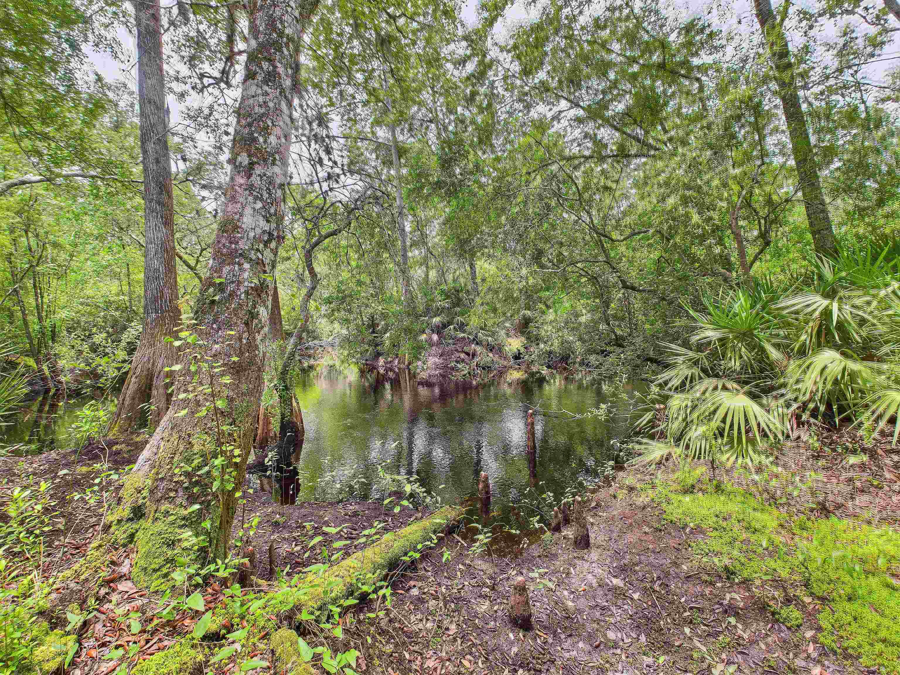 6100 Ira L Smith Road, Greenville, Florida image 22