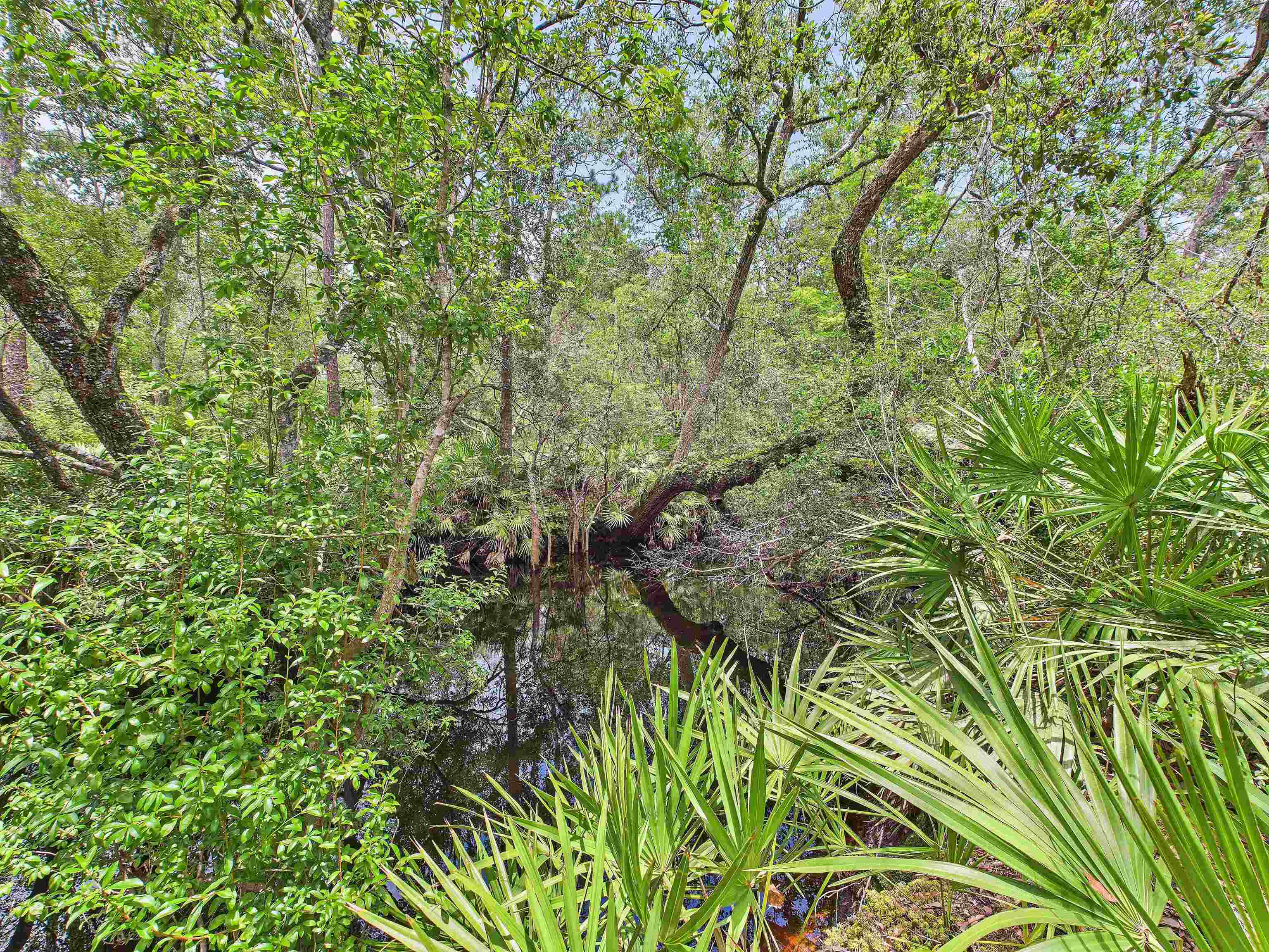 6100 Ira L Smith Road, Greenville, Florida image 24