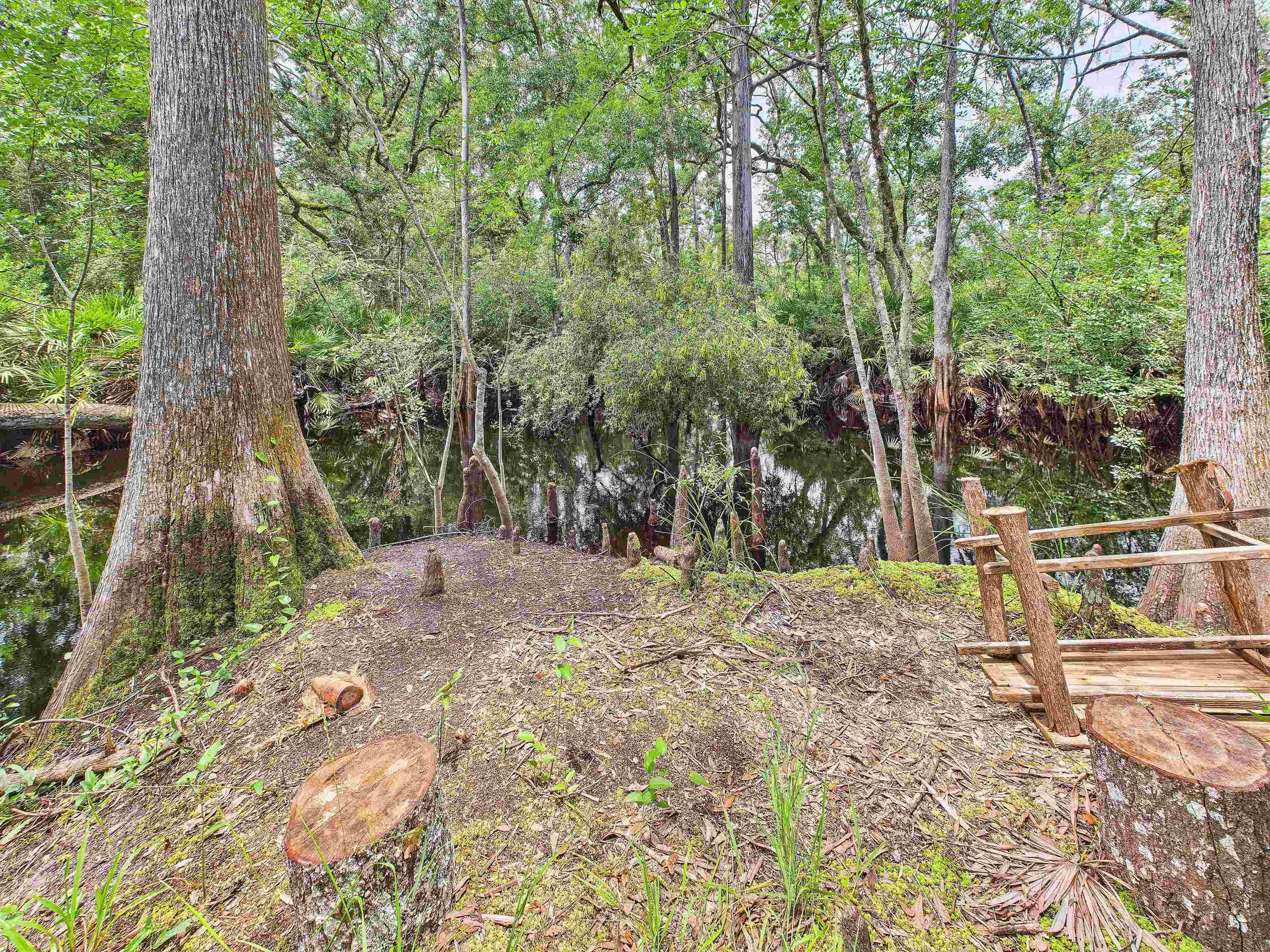 6100 Ira L Smith Road, Greenville, Florida image 25