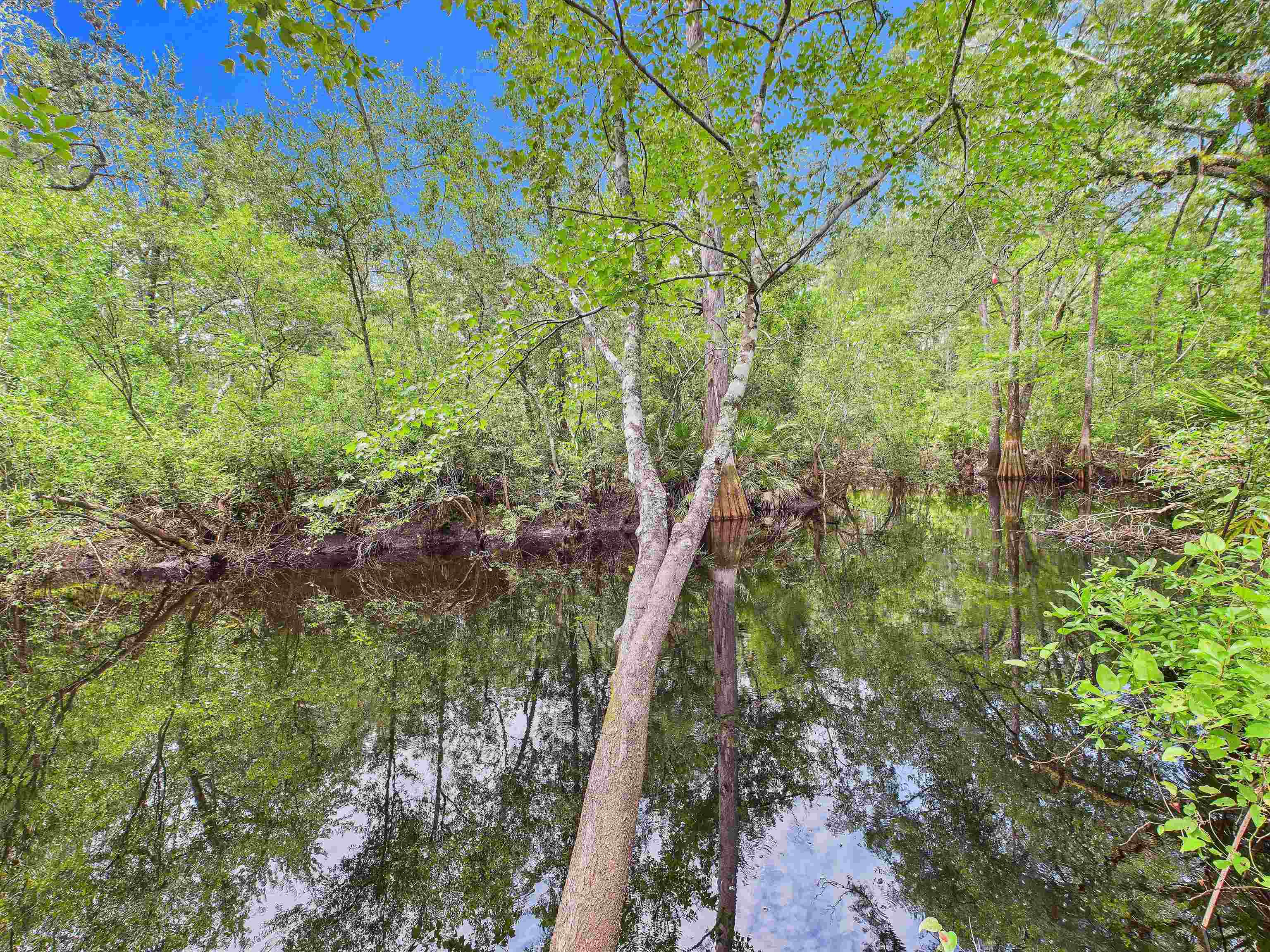 6100 Ira L Smith Road, Greenville, Florida image 4