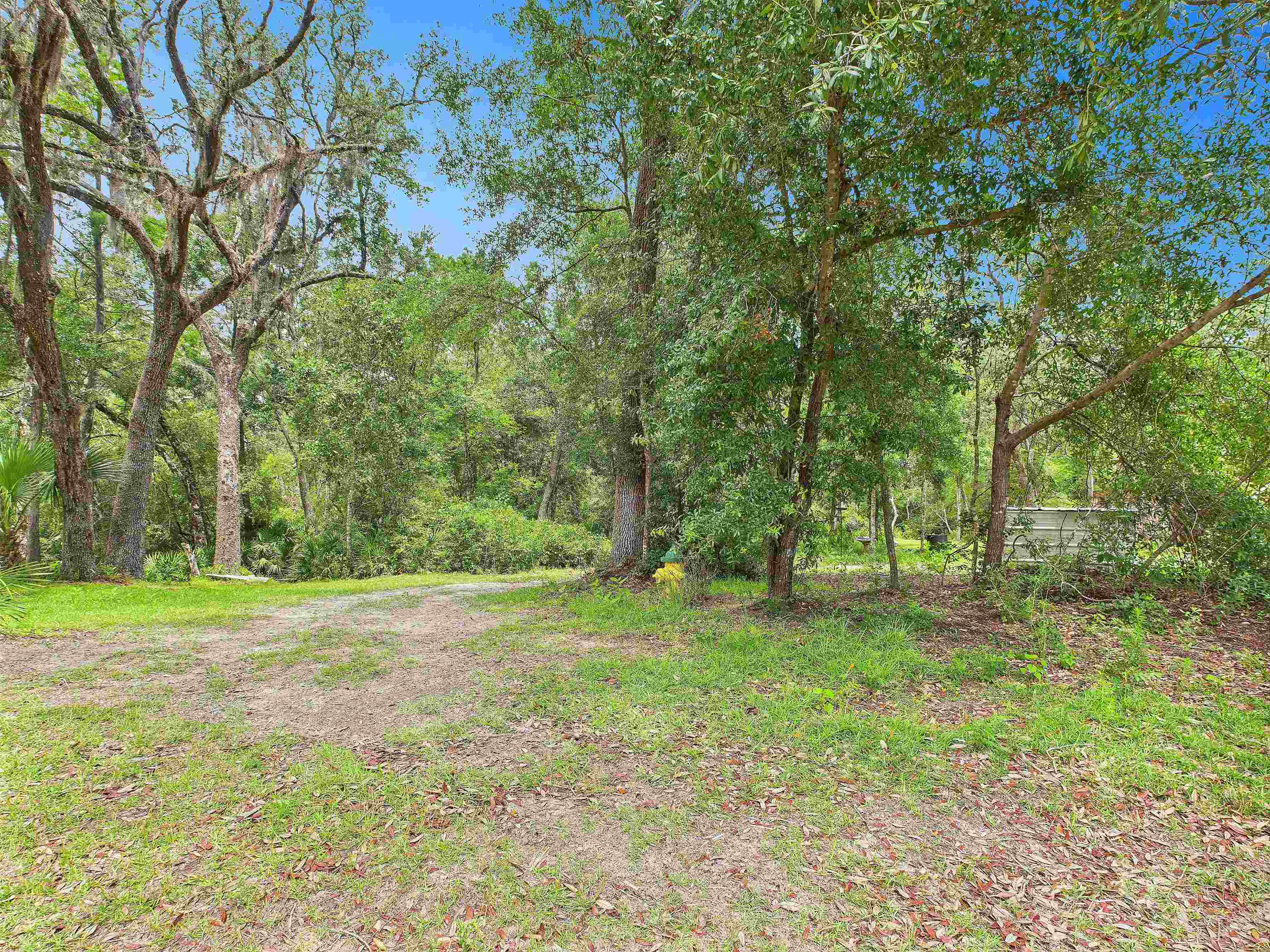 6100 Ira L Smith Road, Greenville, Florida image 7