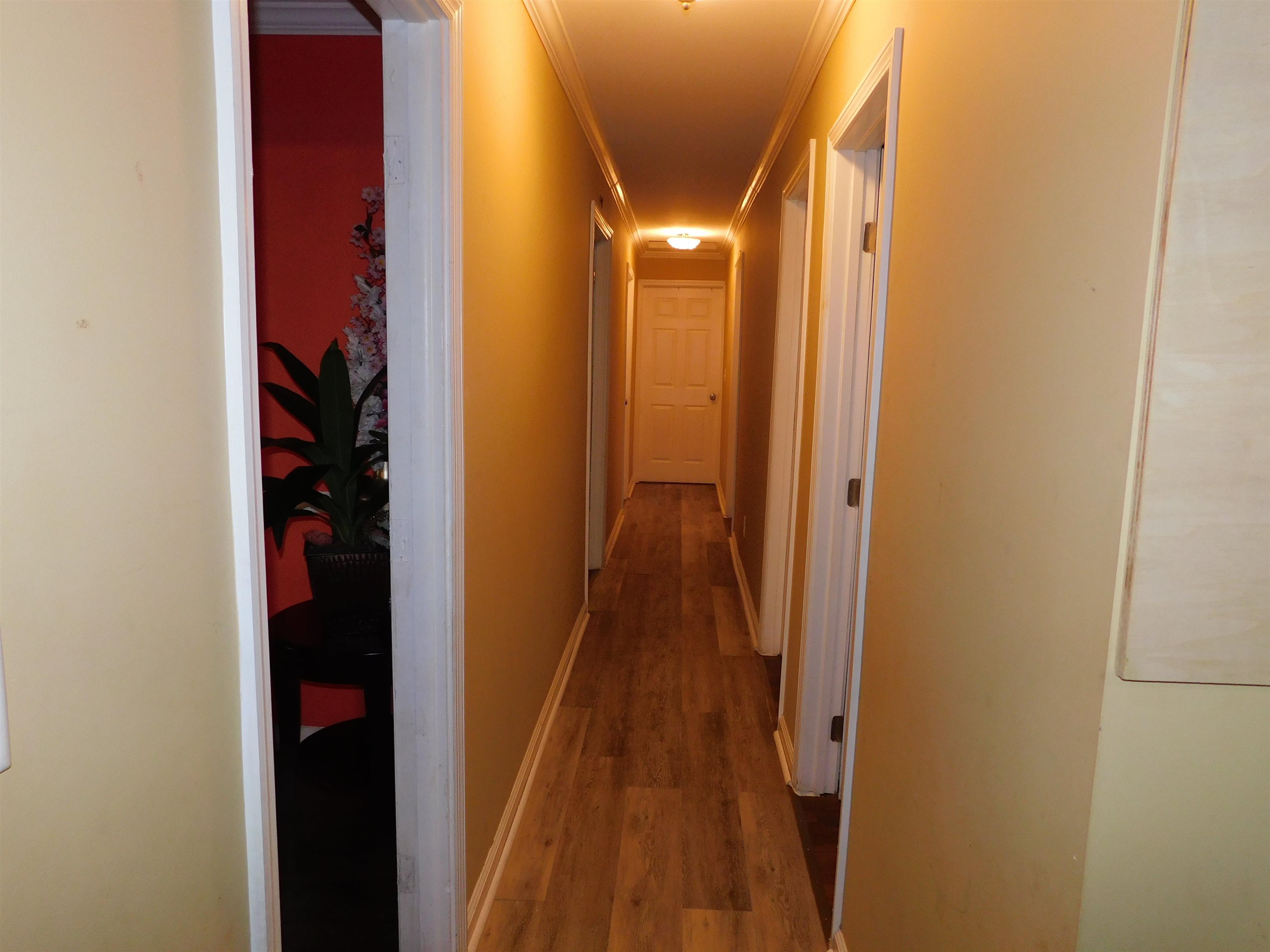 287 Tyre Road, Havana, Florida image 5