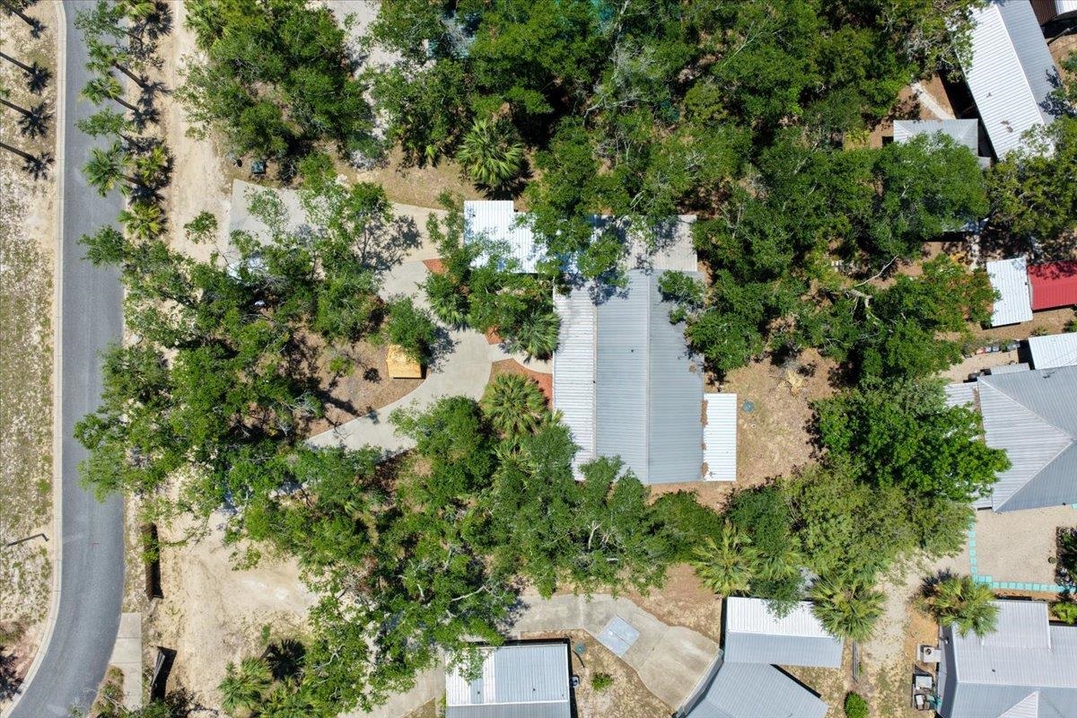 1815 NE Mabels Avenue, Steinhatchee, Florida image 34