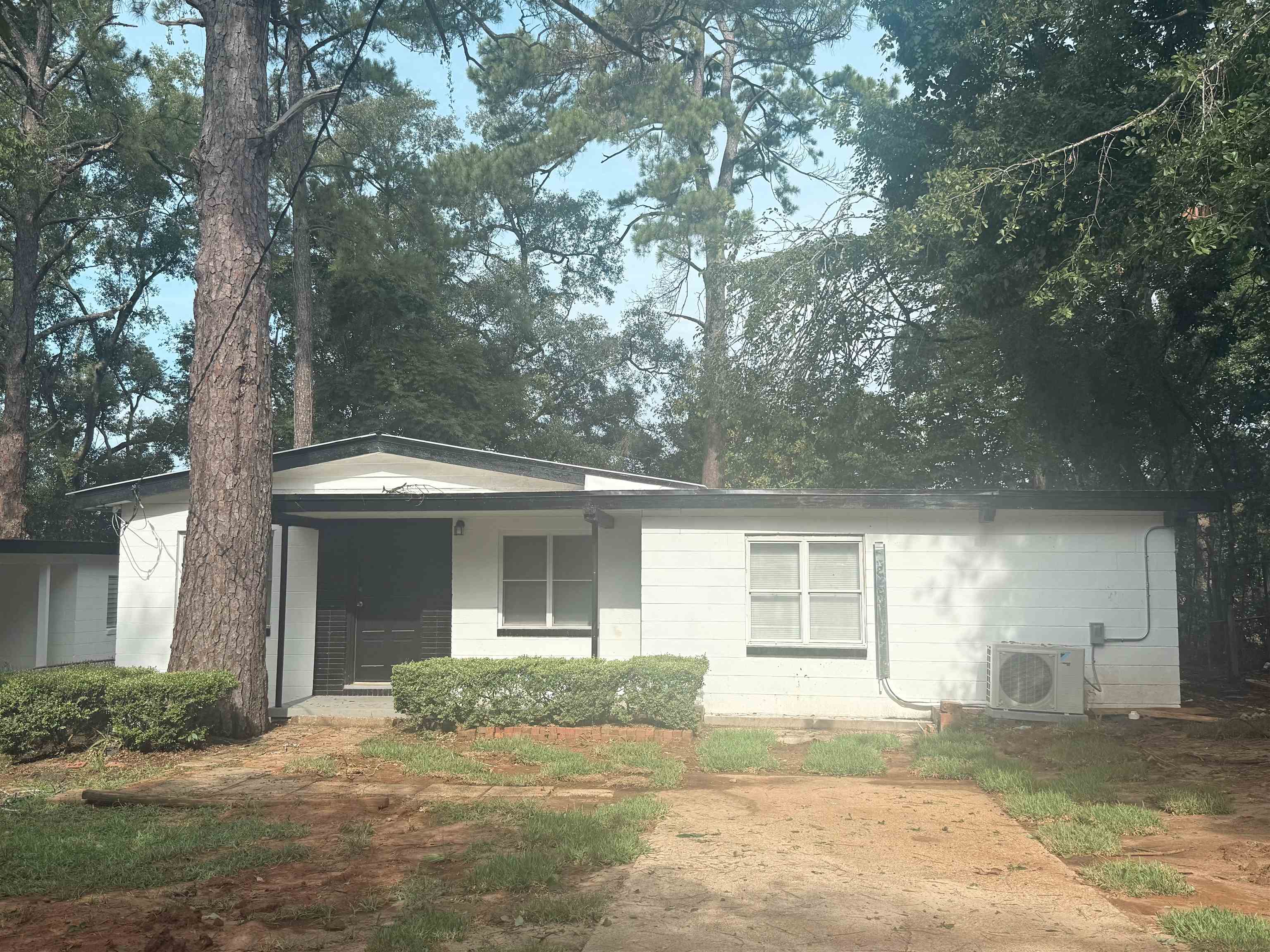 2052 Hillsborough Street, Tallahassee, Texas image 1
