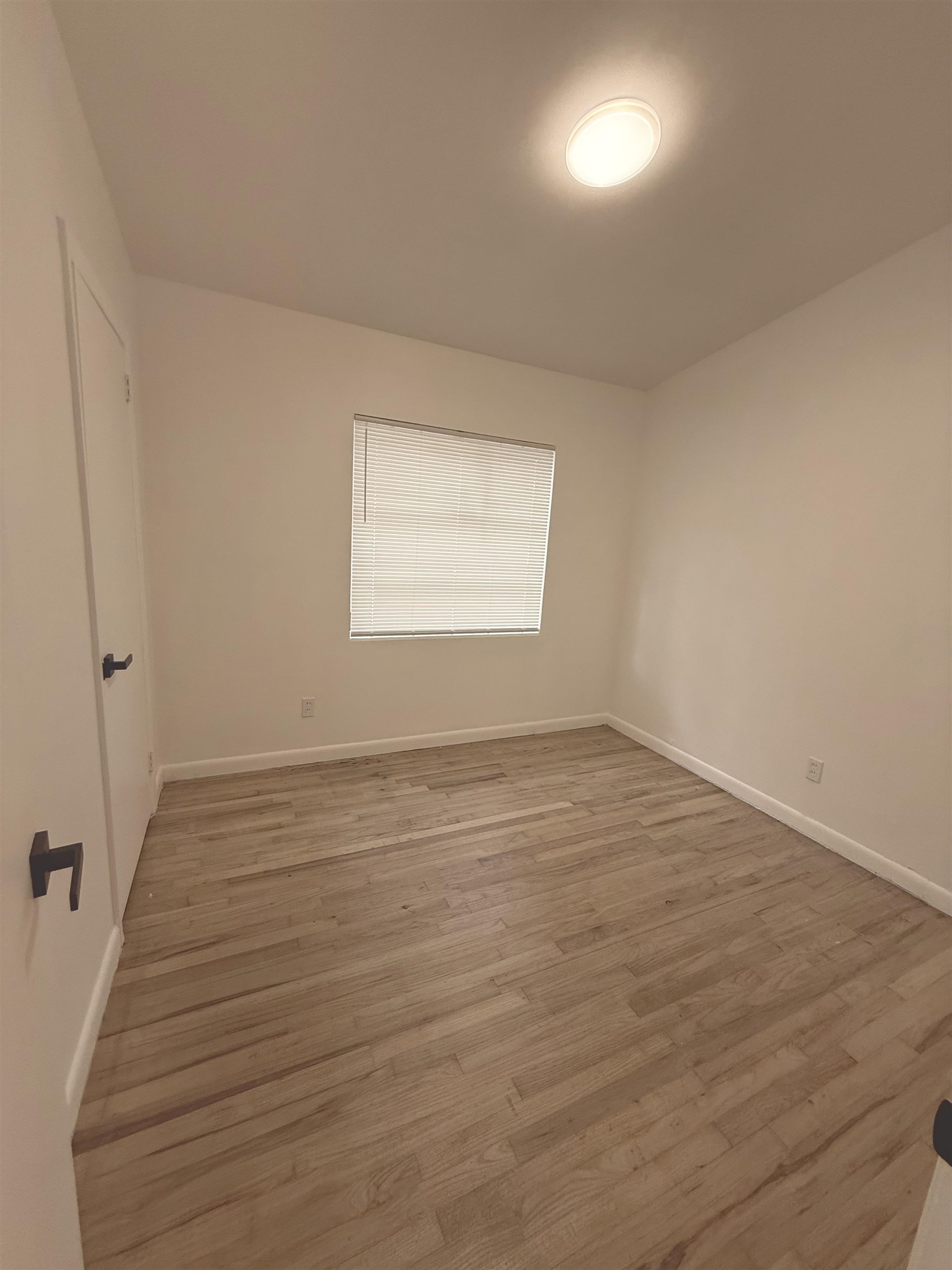 2052 Hillsborough Street, Tallahassee, Texas image 5