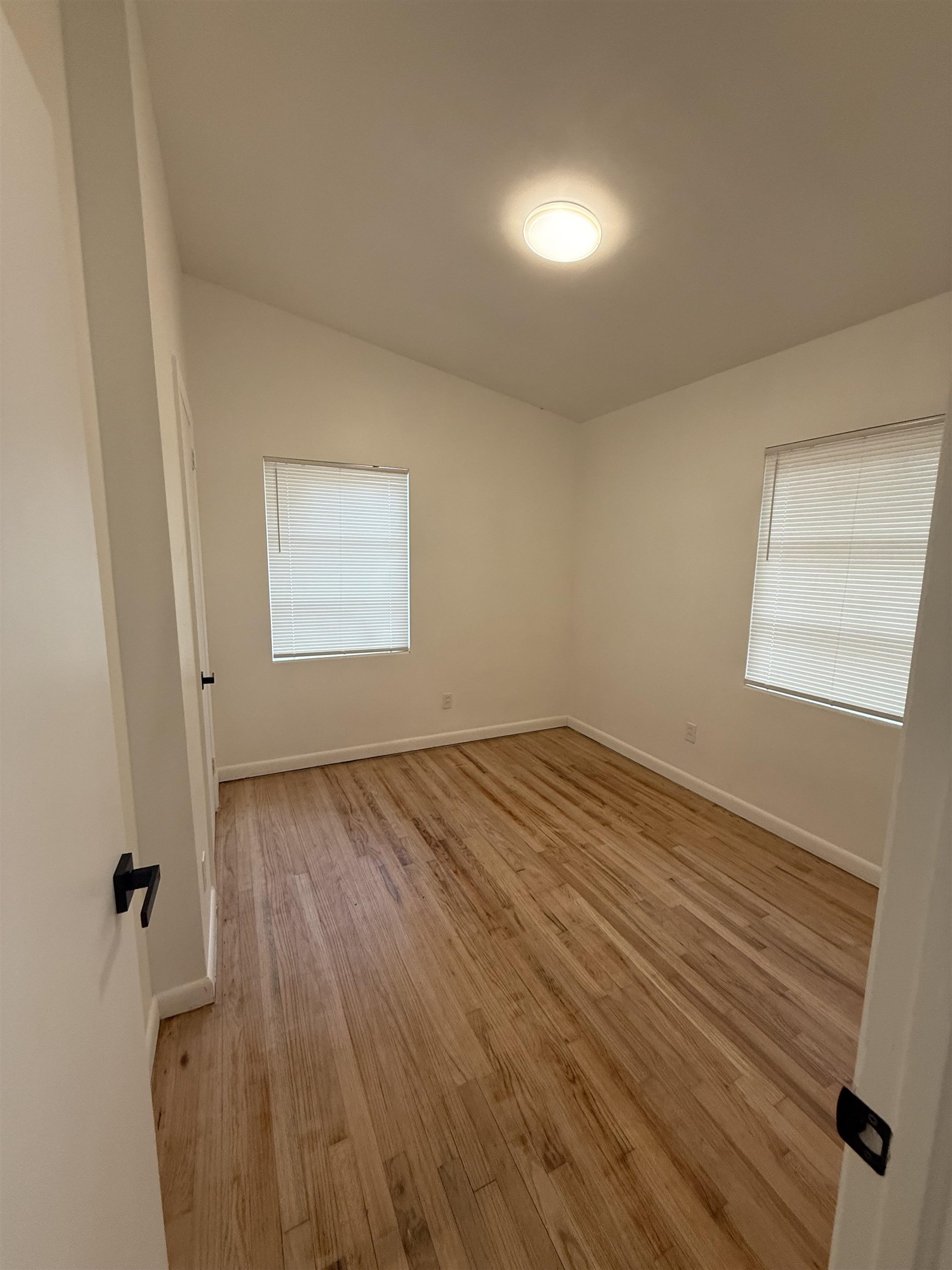 2052 Hillsborough Street, Tallahassee, Texas image 7