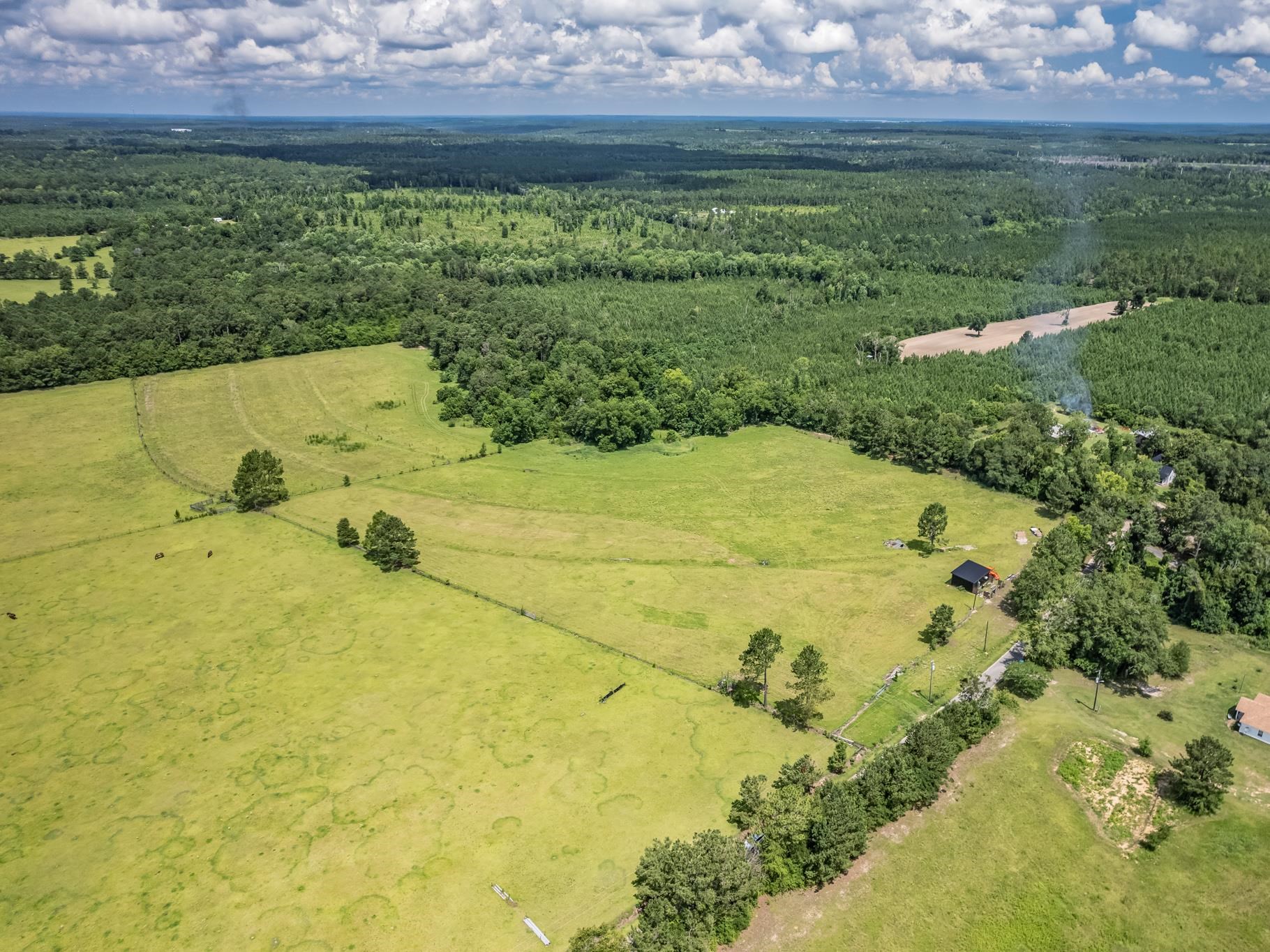 471 Mockingbird Lane, Chattahoochee, Texas image 12