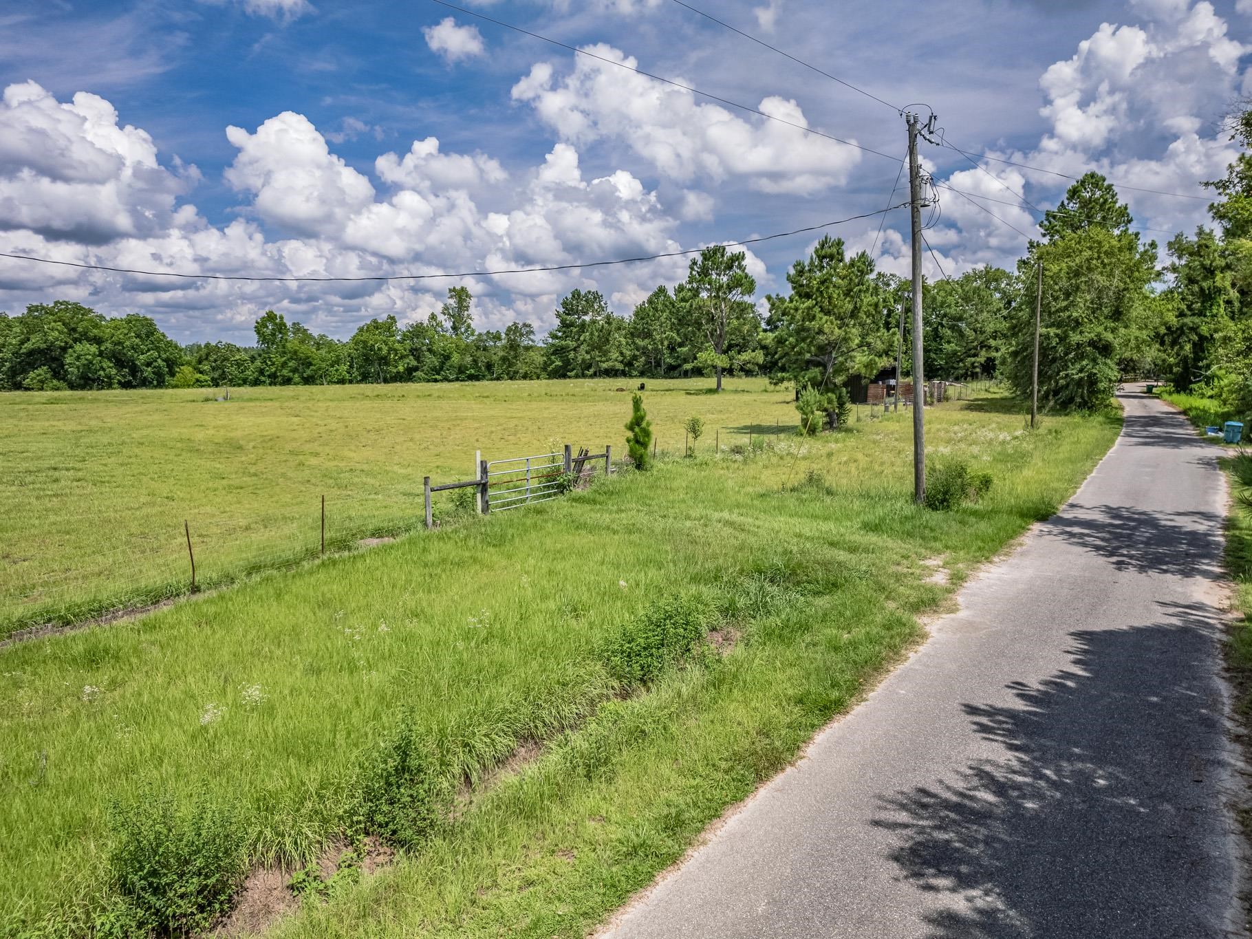 471 Mockingbird Lane, Chattahoochee, Texas image 13