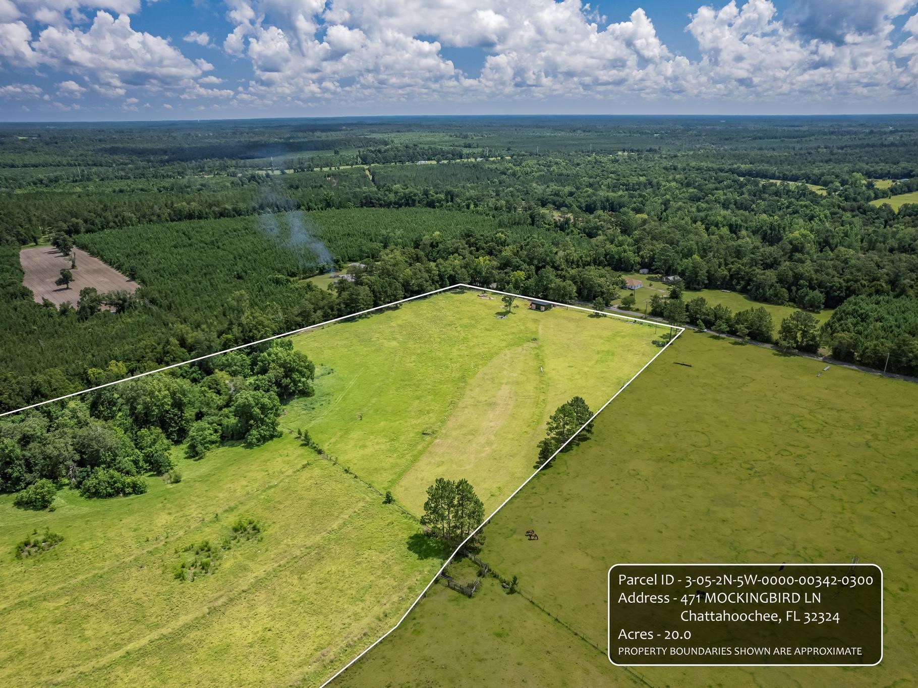 471 Mockingbird Lane, Chattahoochee, Texas image 5