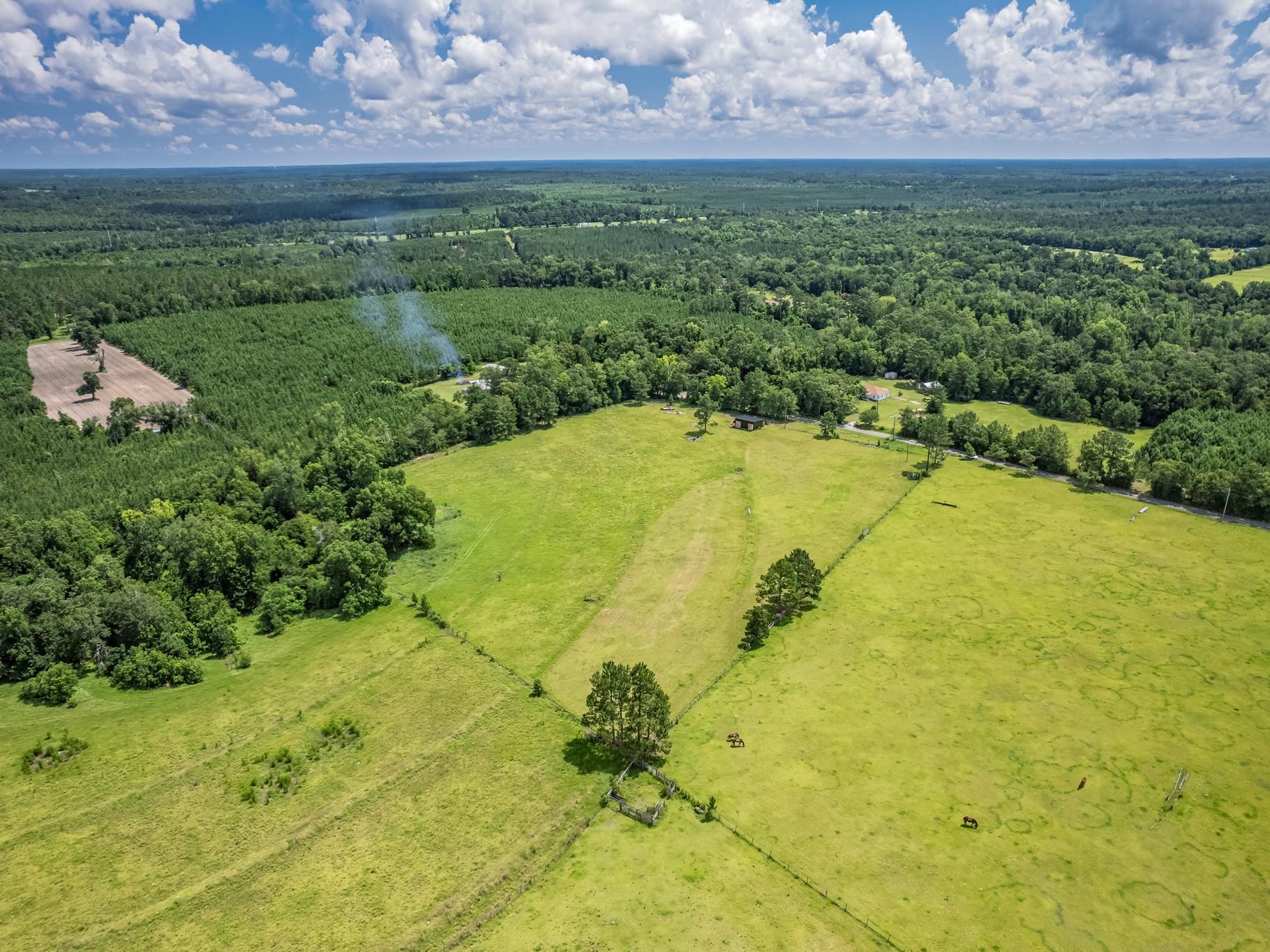 471 Mockingbird Lane, Chattahoochee, Texas image 7