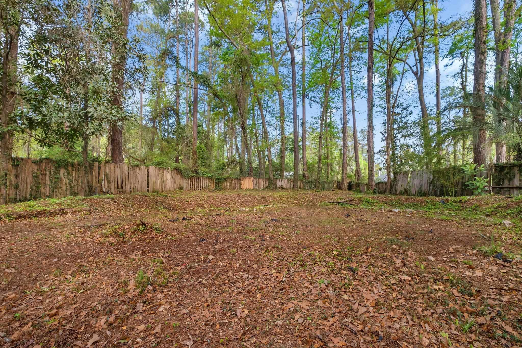 3508 Willow Springs Lane, Tallahassee, Texas image 20