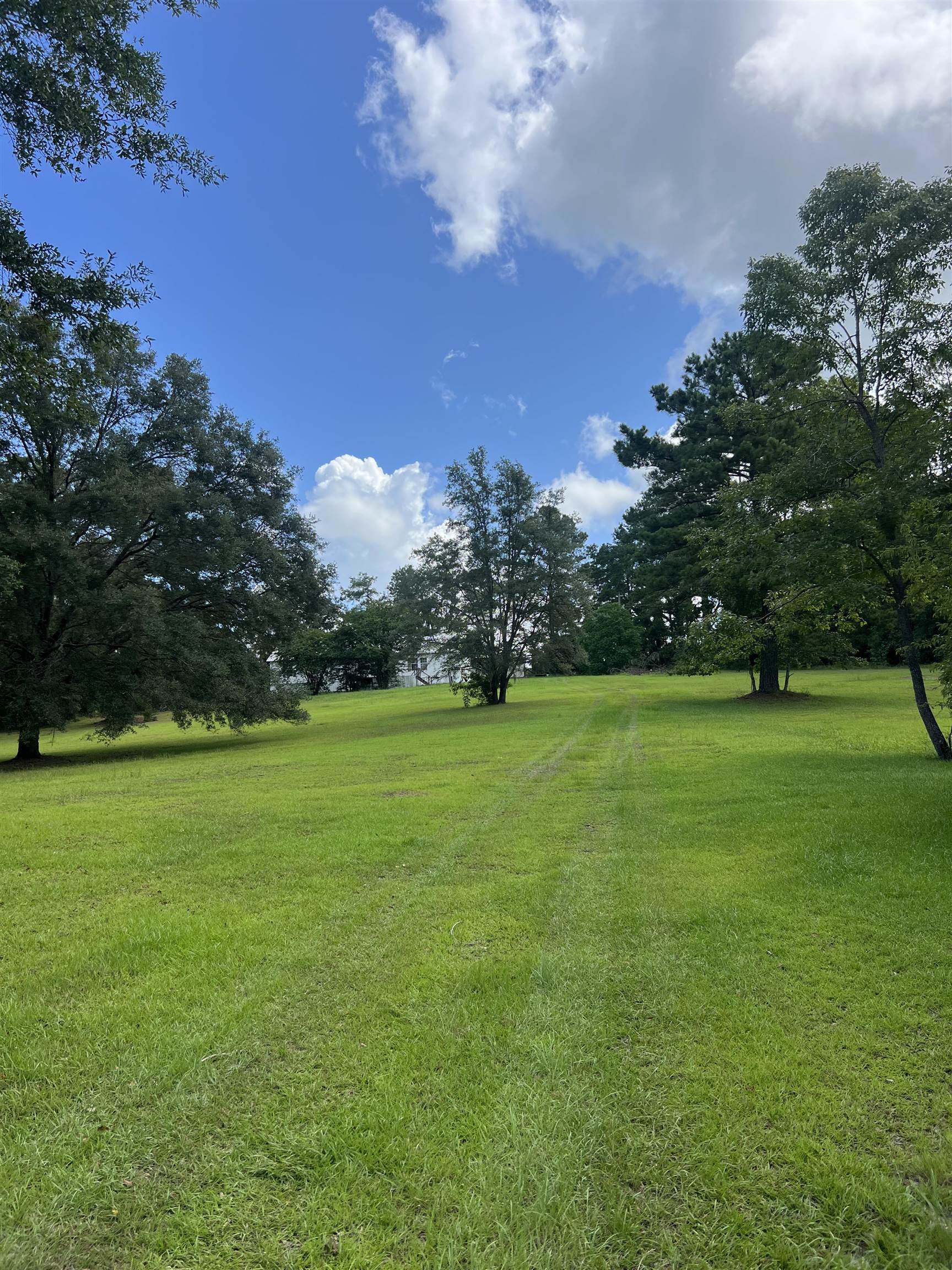 195 E Meadow Road, Monticello, Texas image 4