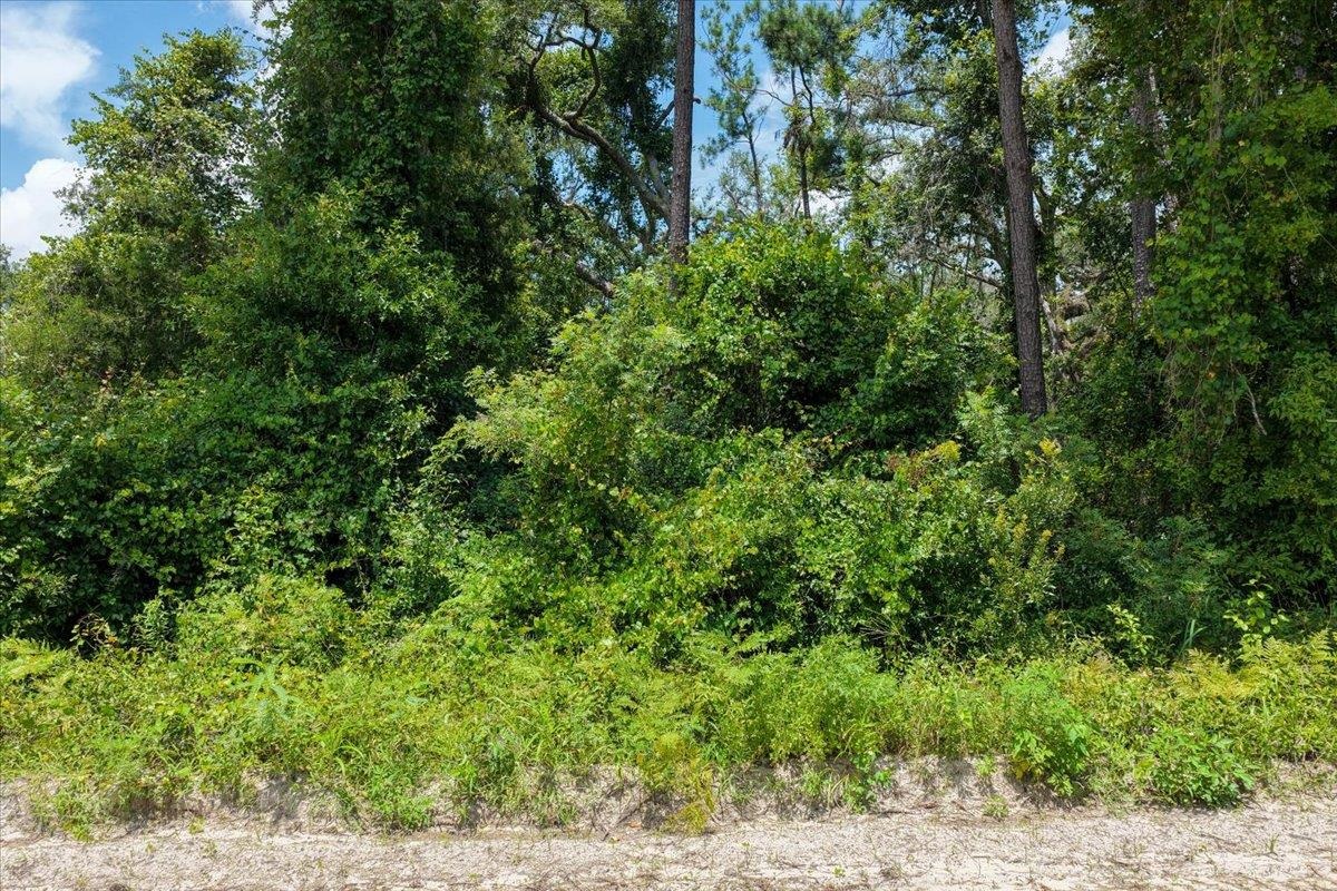 Vacant NE Bayberry Street, Madison, Texas image 6