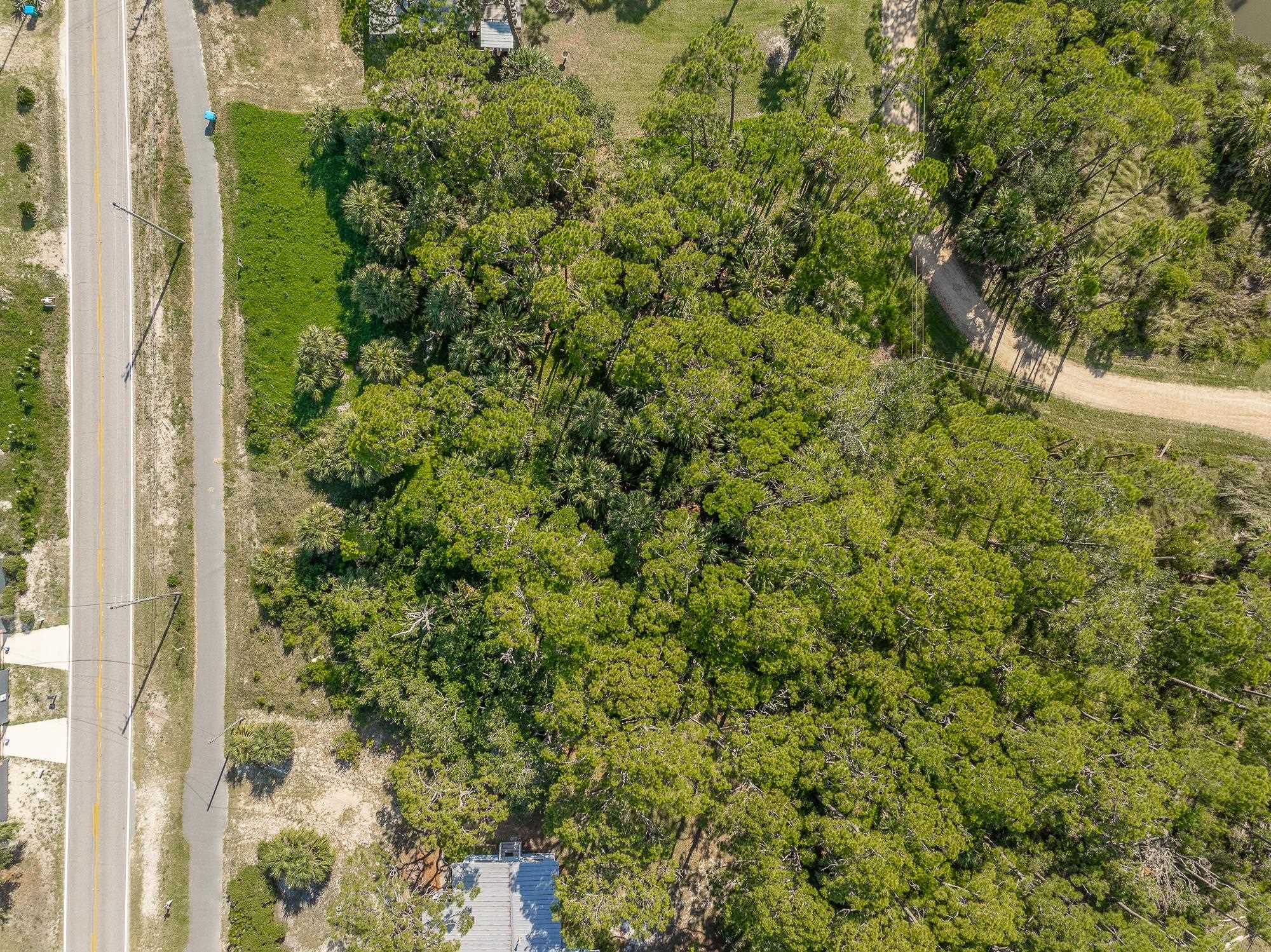 1262 Alligator Drive, Alligator Point, Florida image 10