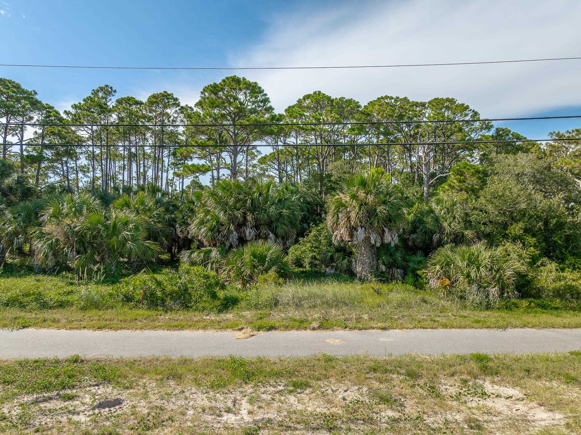 1262 Alligator Drive, Alligator Point, Florida image 11