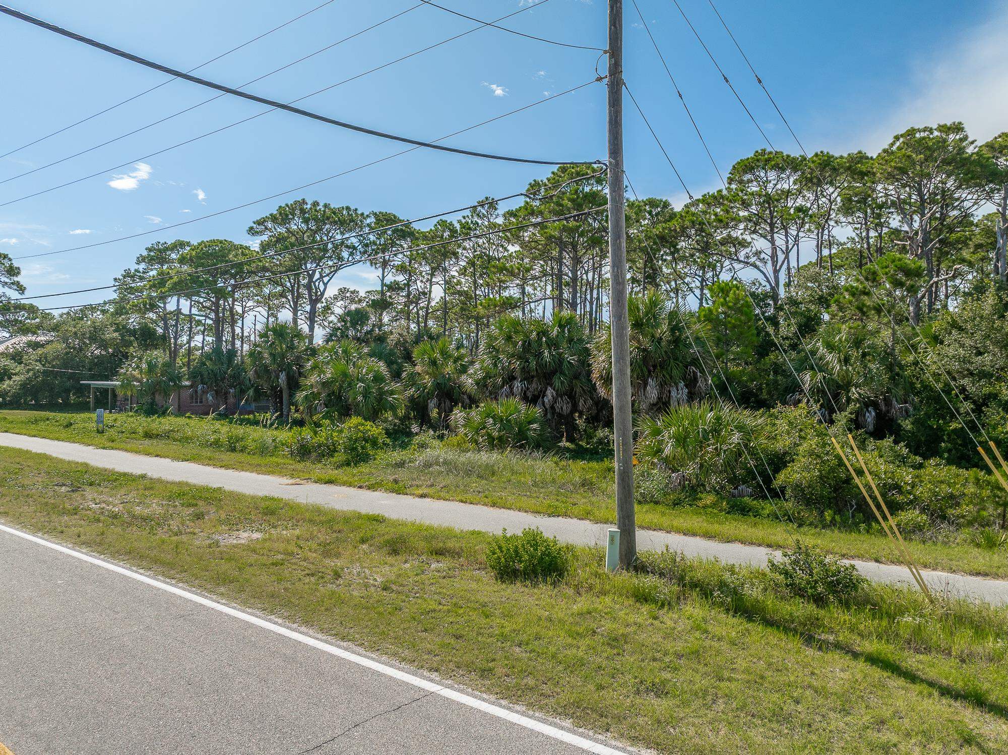 1262 Alligator Drive, Alligator Point, Florida image 12