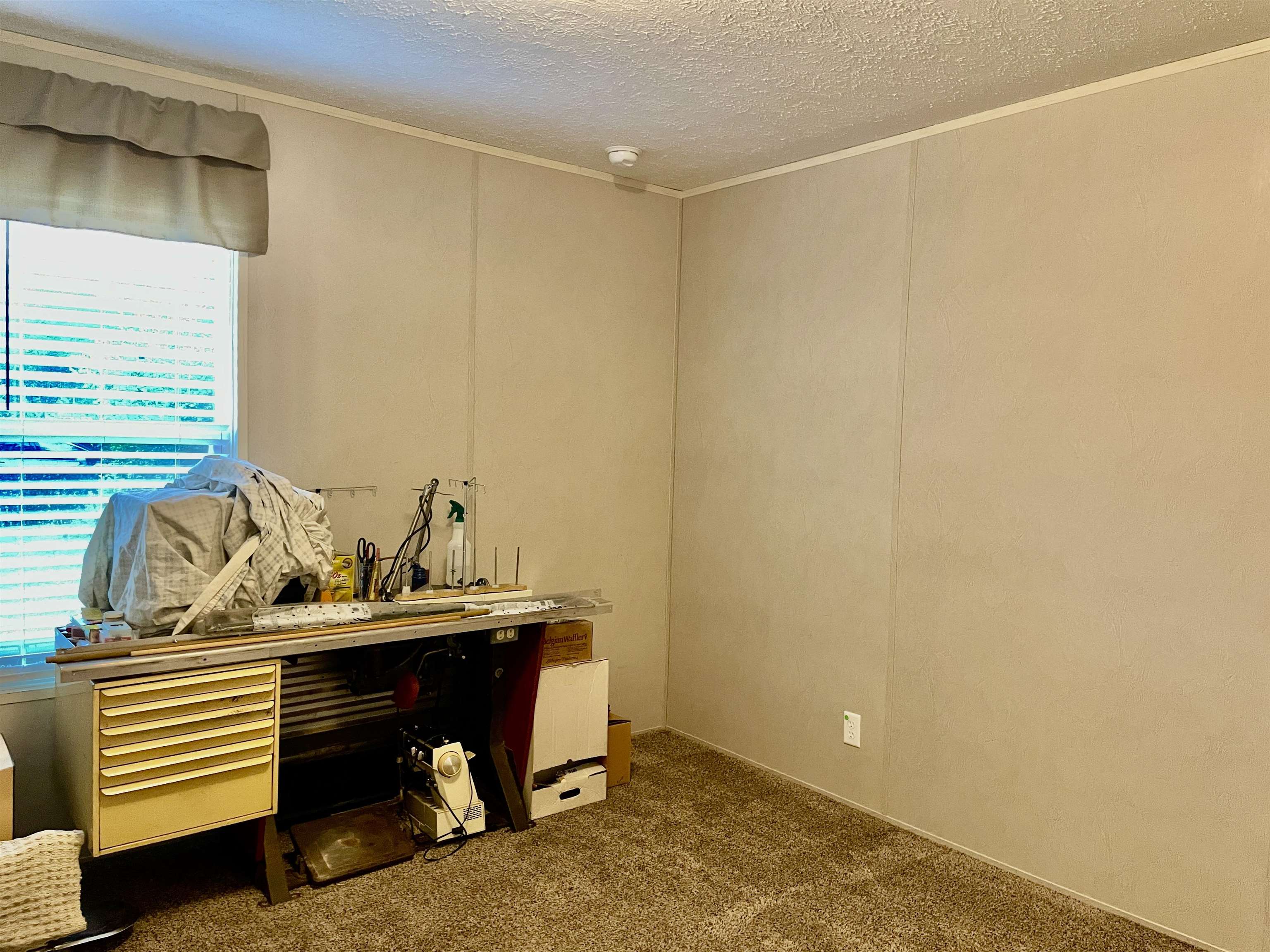 817 Margo Street, Tallahassee, Texas image 15