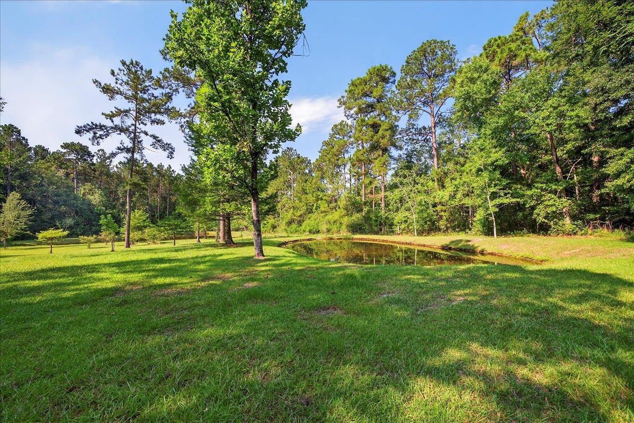 1291 Hayfield Spur Road, Monticello, Florida image 45