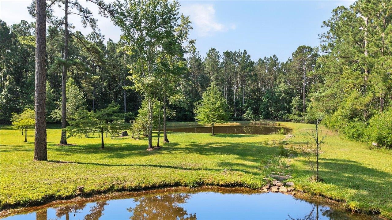 1291 Hayfield Spur Road, Monticello, Florida image 5