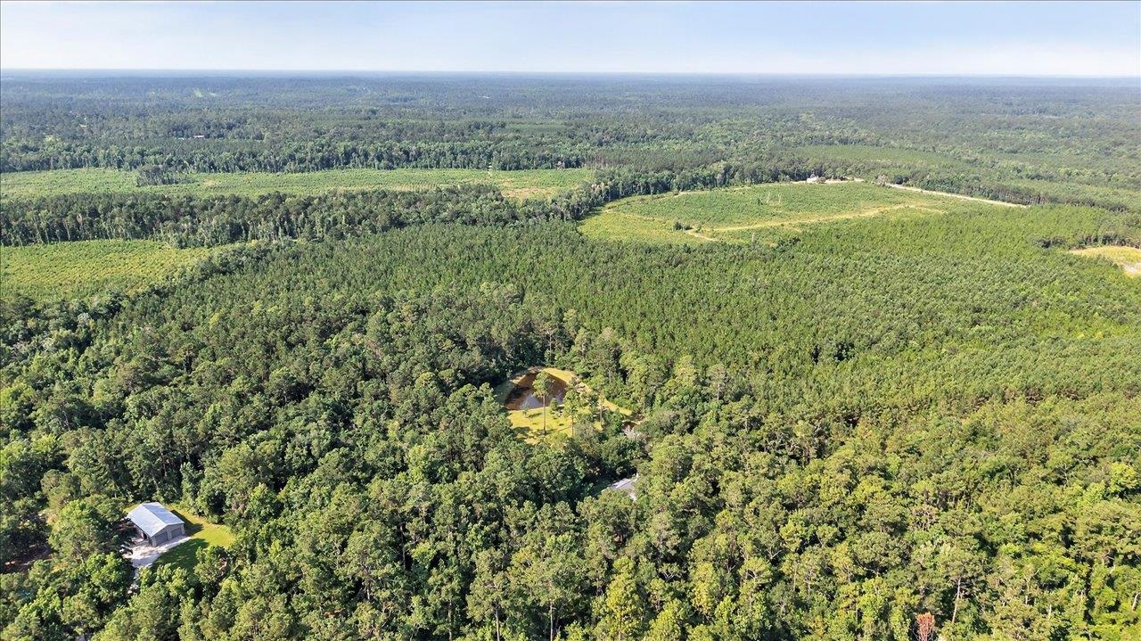 1291 Hayfield Spur Road, Monticello, Florida image 6