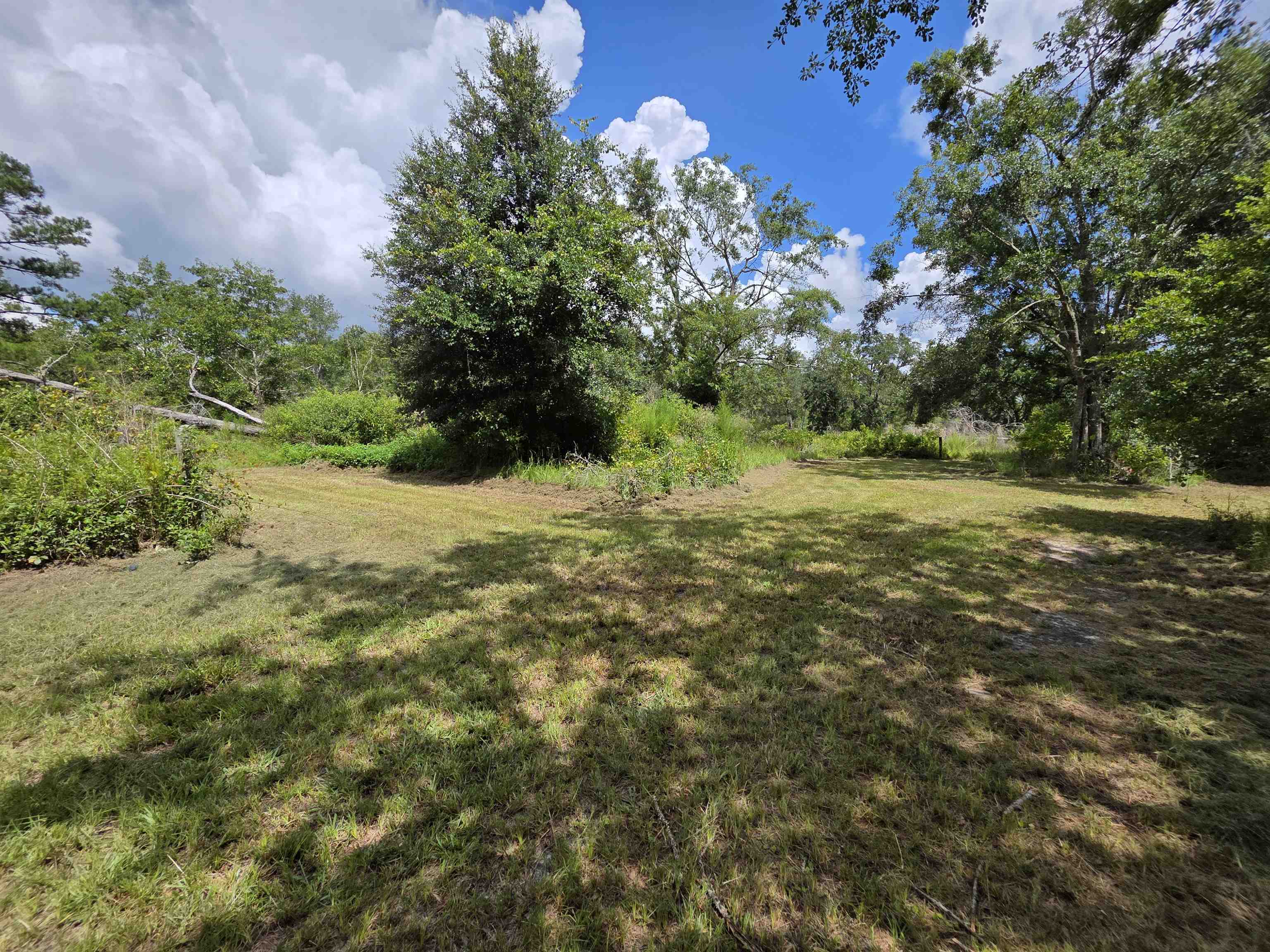 610 SW Okaloo Way, Greenville, Florida image 45