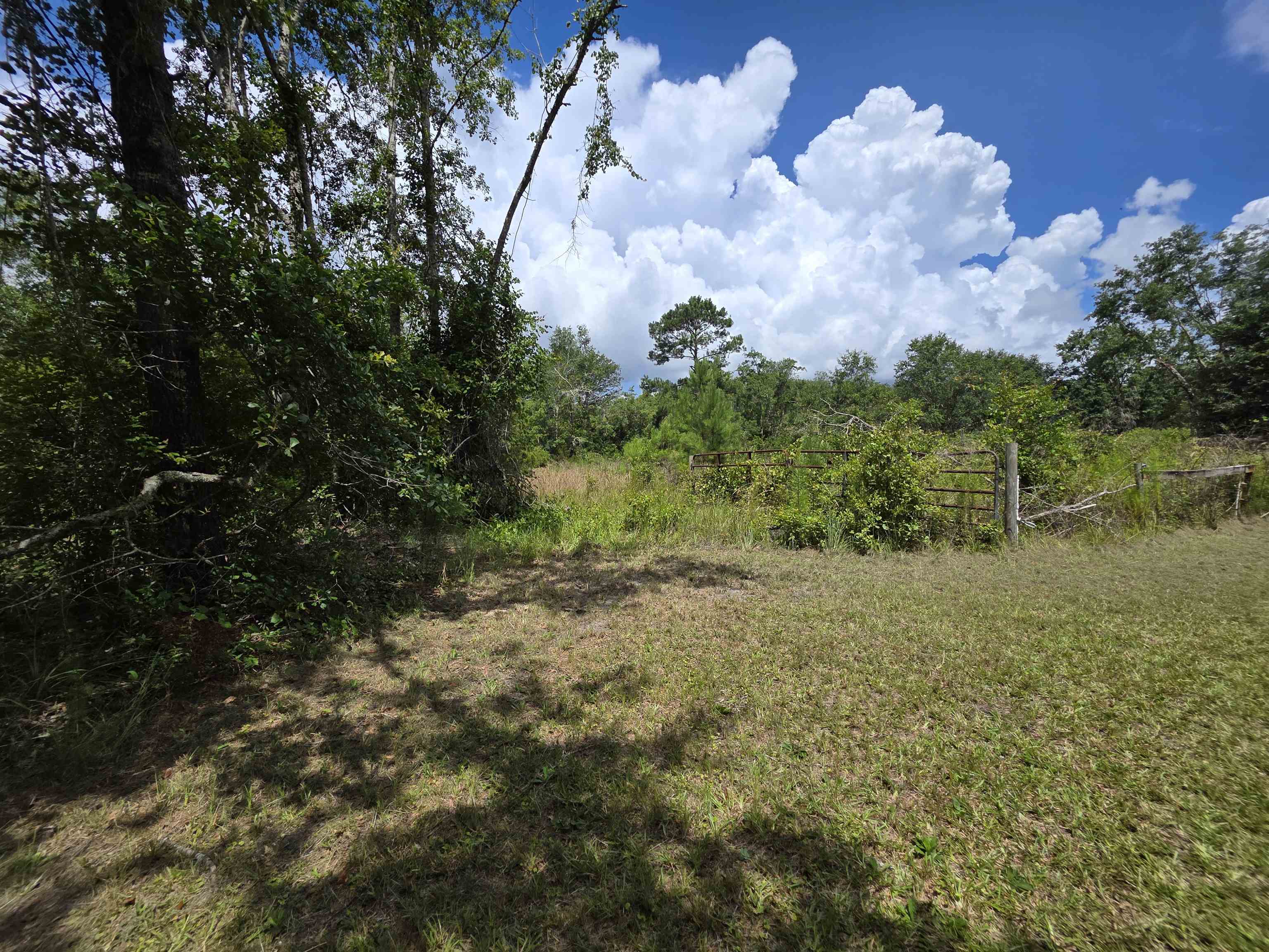 610 SW Okaloo Way, Greenville, Florida image 46