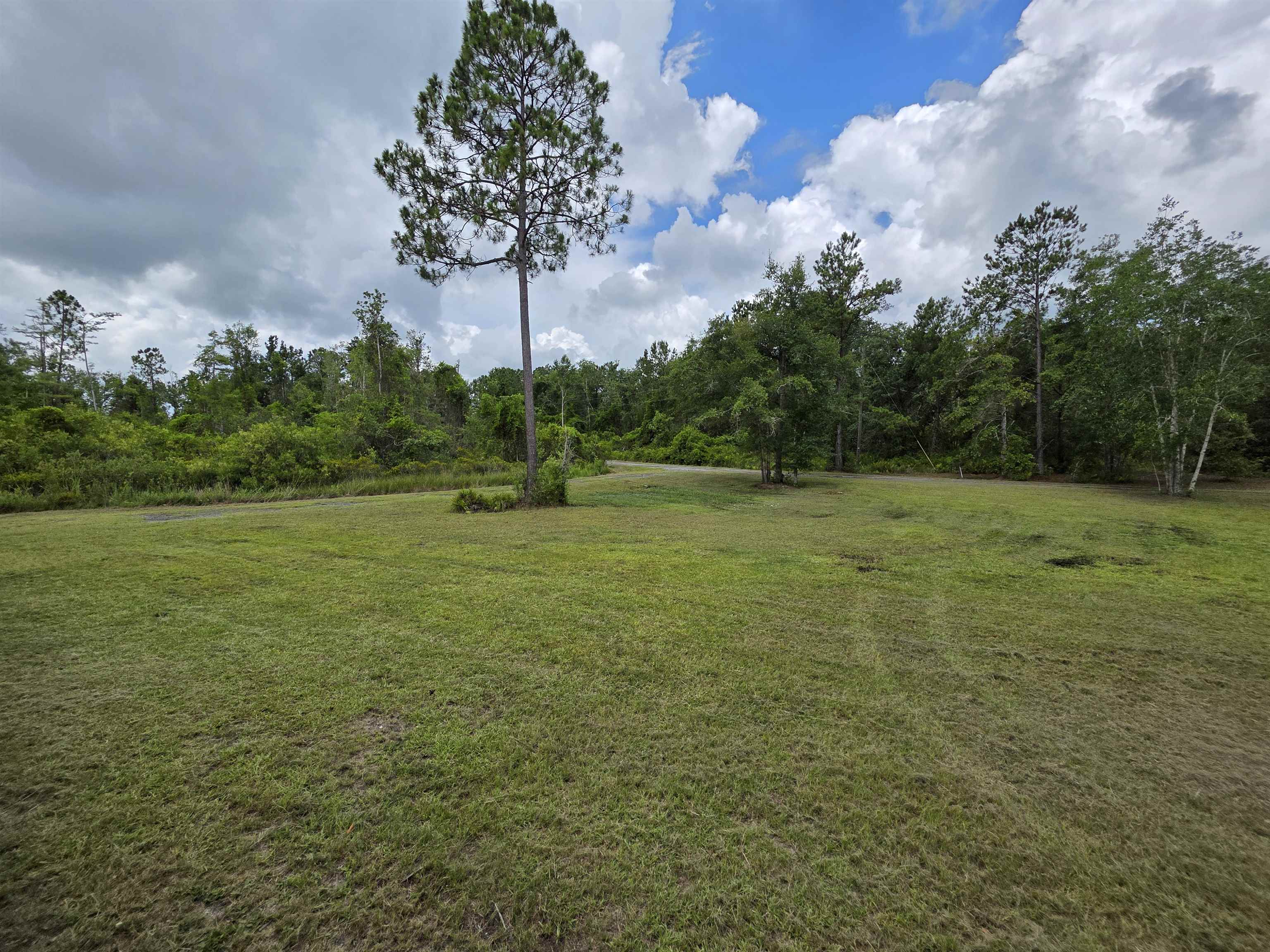 610 SW Okaloo Way, Greenville, Florida image 50