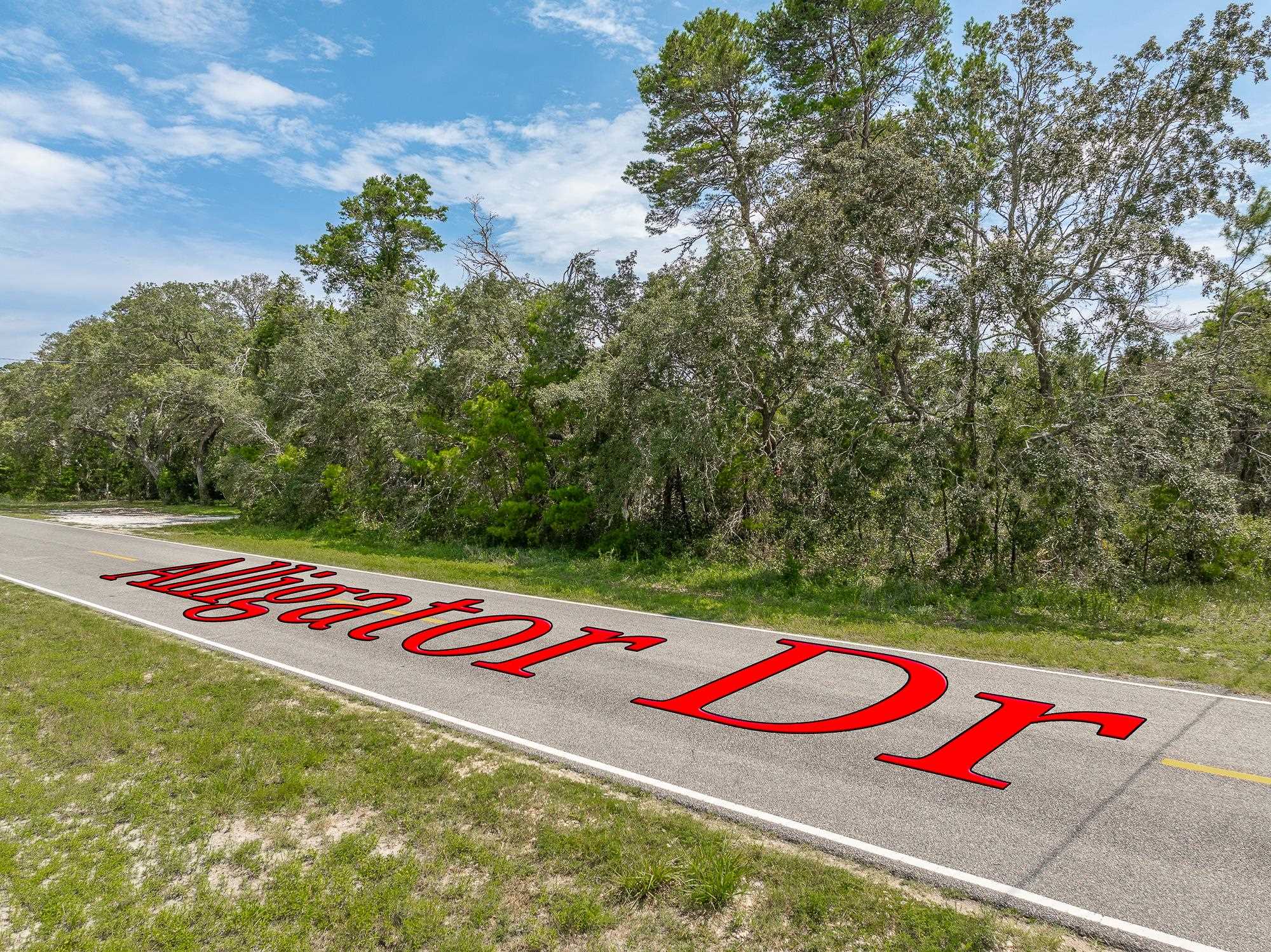Lots 5 & 6 Alligator Drive, Alligator Point, Texas image 7