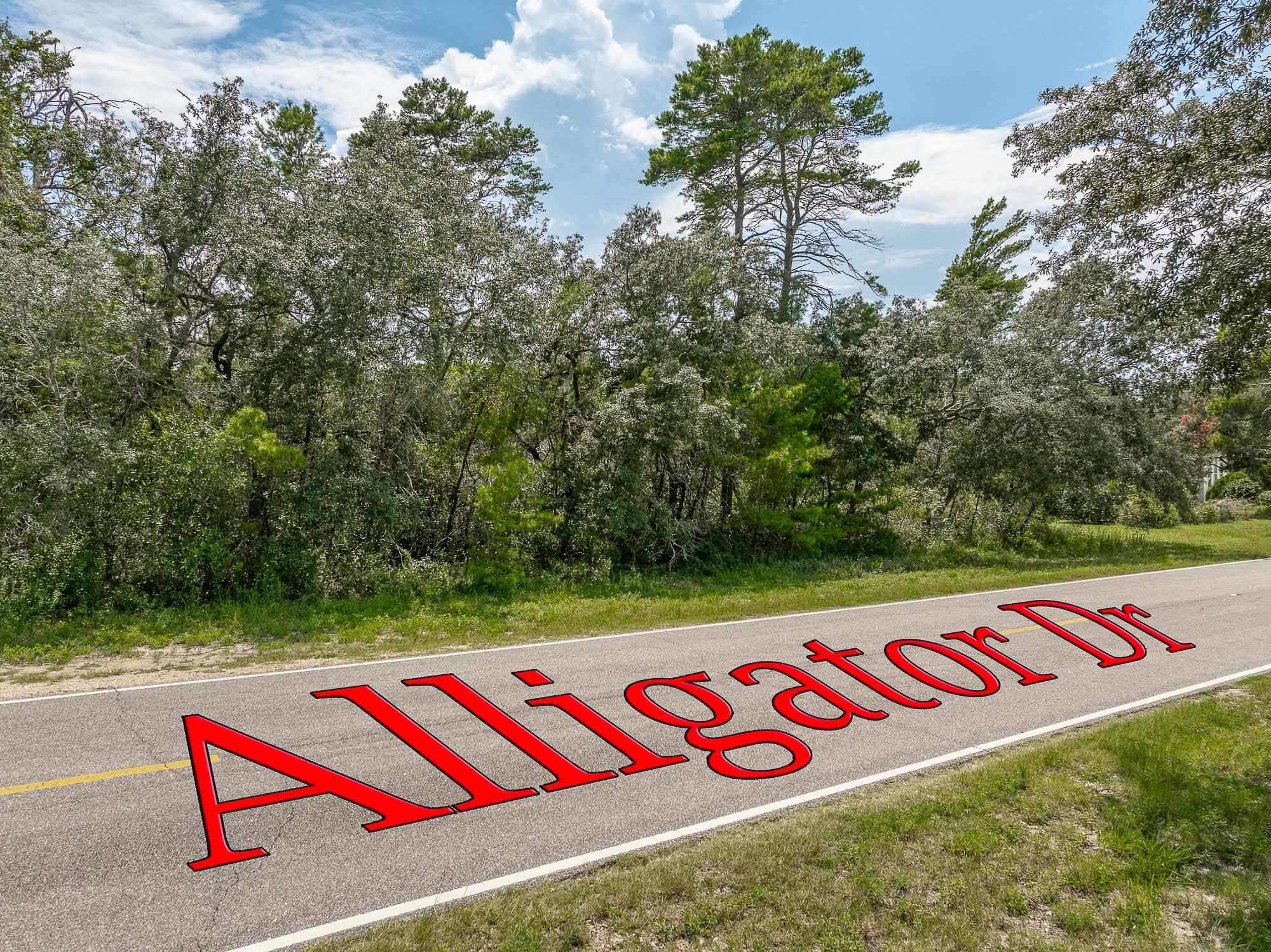 Lots 5 & 6 Alligator Drive, Alligator Point, Texas image 8