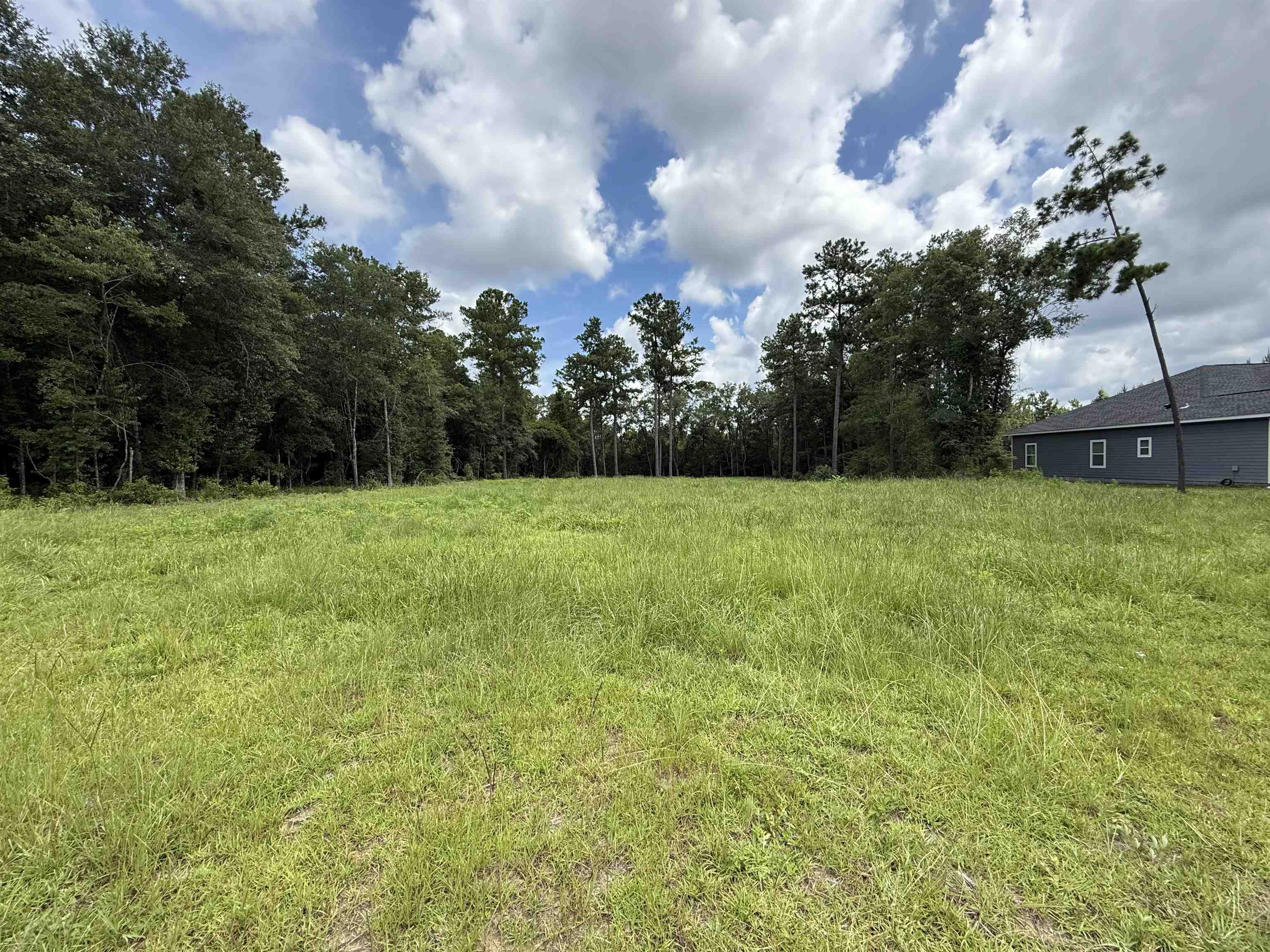 227 Peachtree Drive, Quincy, Florida image 1