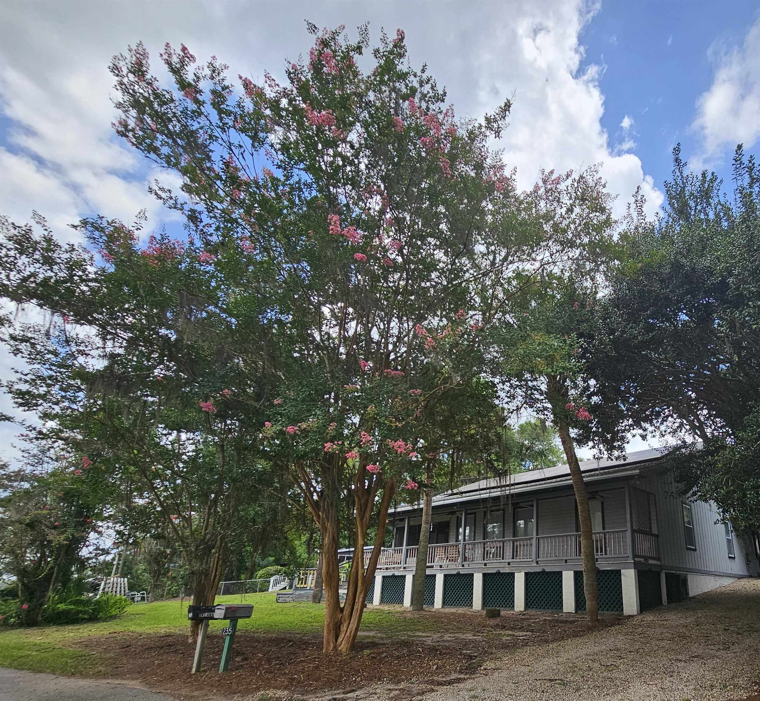 235 Ocklawaha Circle, Quincy, Florida image 1