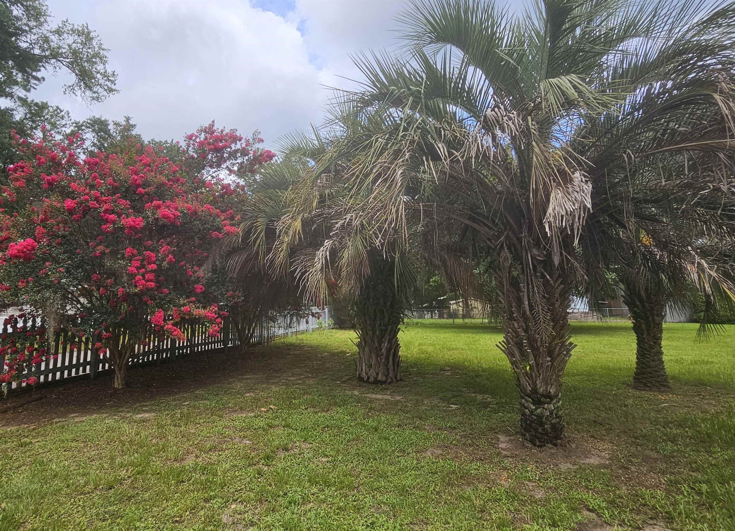 235 Ocklawaha Circle, Quincy, Florida image 32