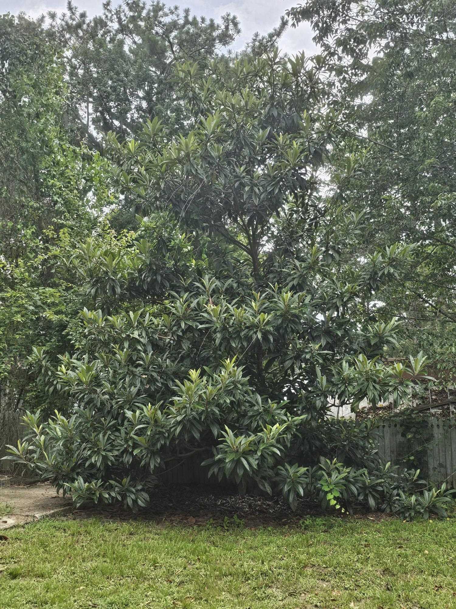 235 Ocklawaha Circle, Quincy, Florida image 35