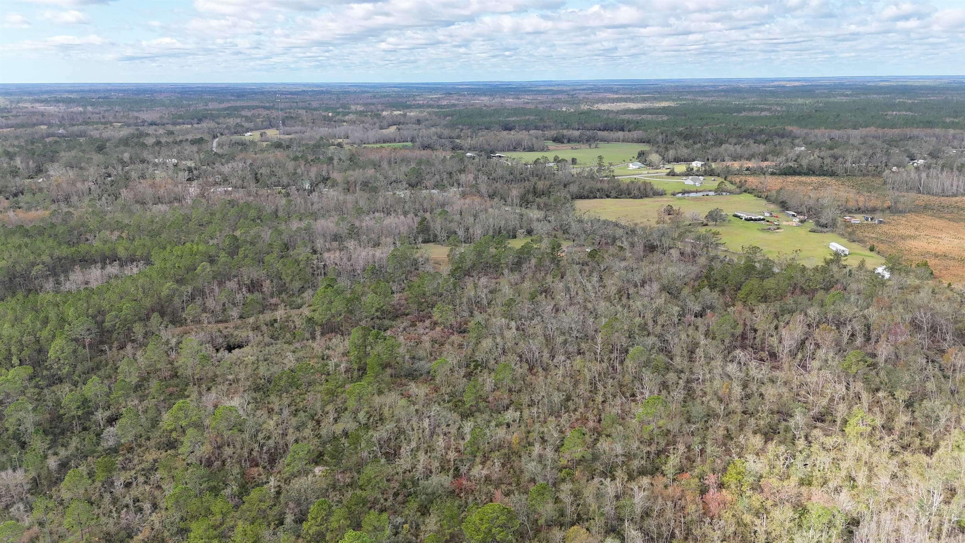 Vacant SW Moseley Hall Road, Greenville, Florida image 23
