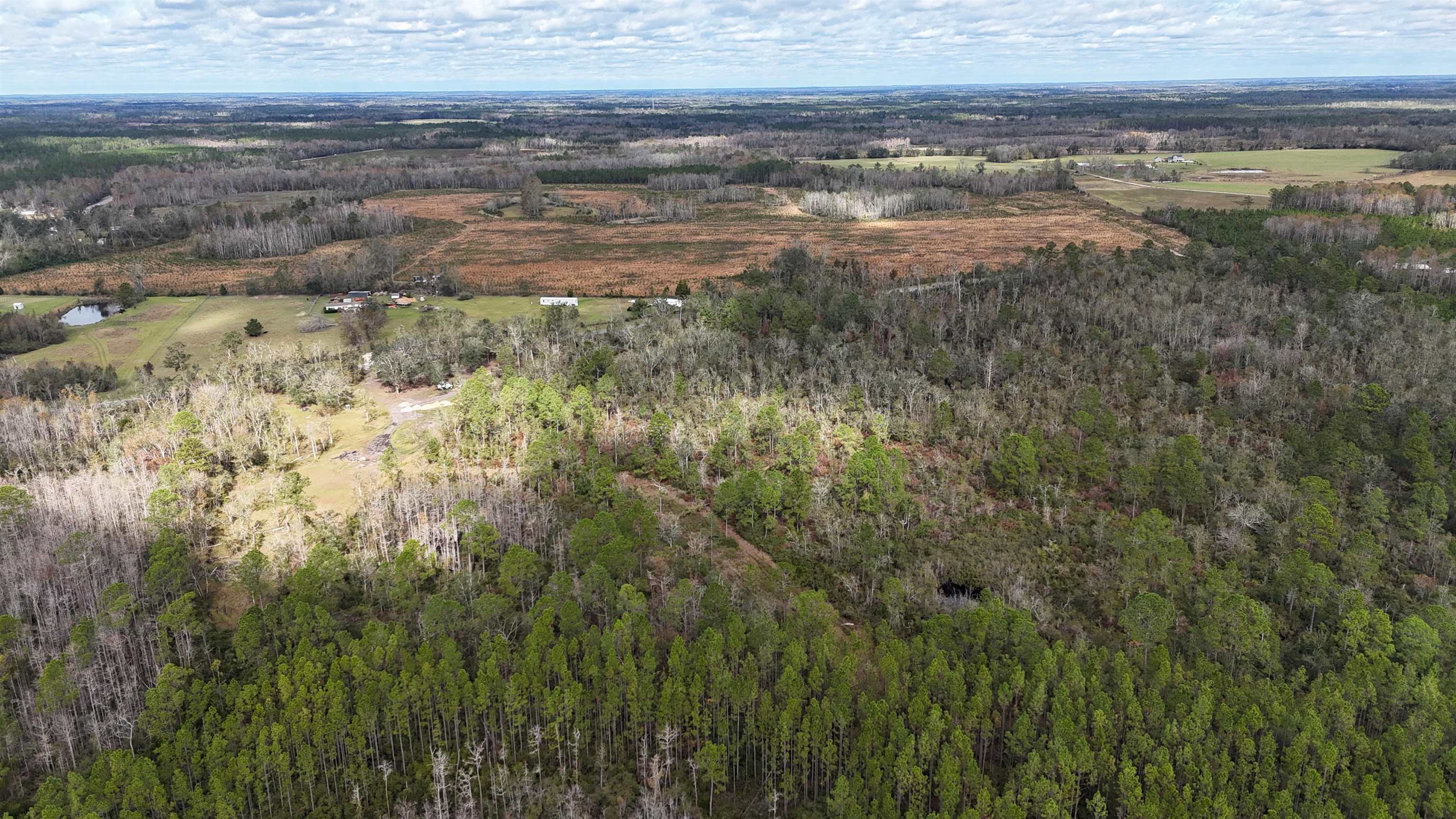 Vacant SW Moseley Hall Road, Greenville, Florida image 6