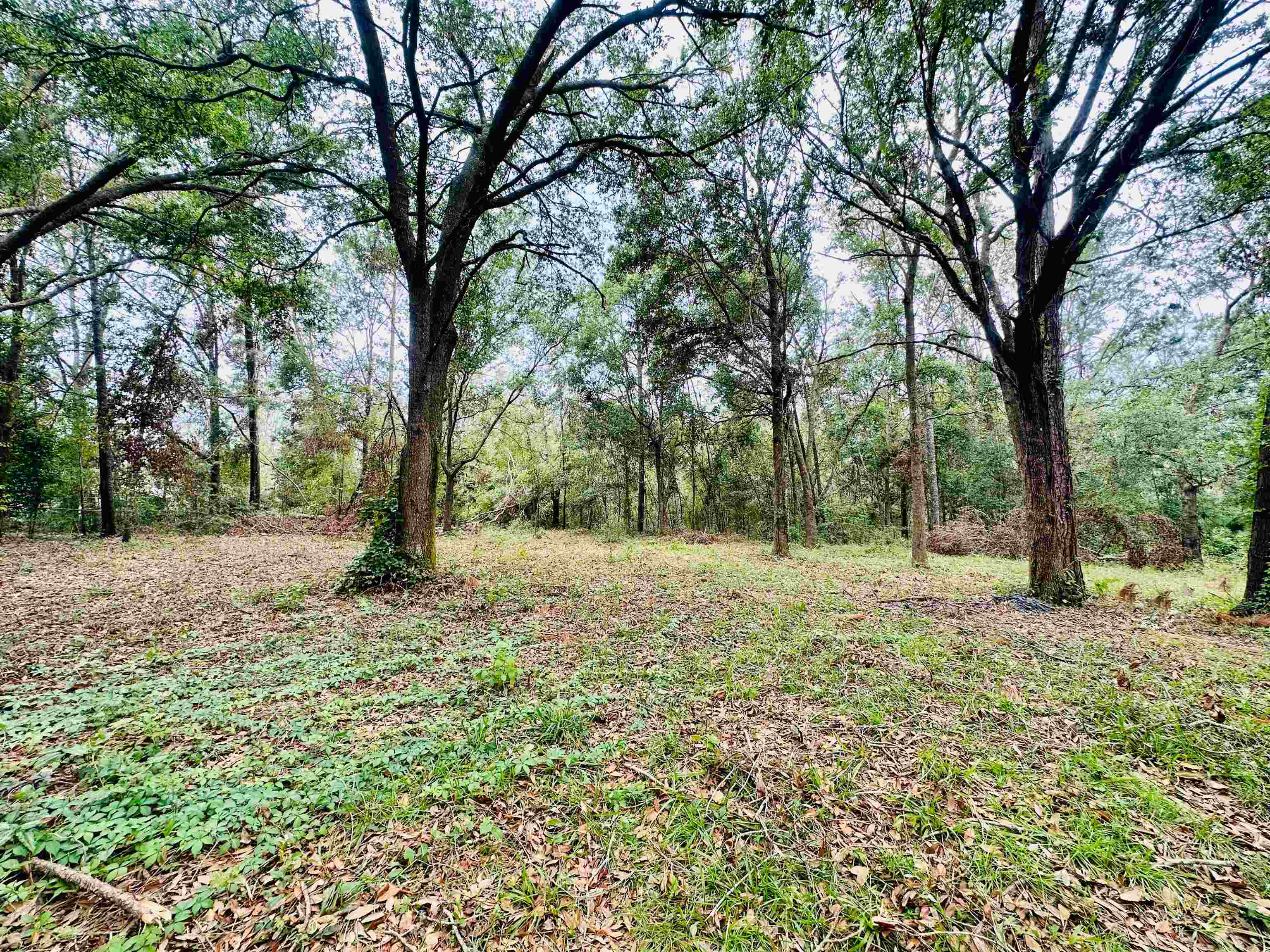 2309 A Young Road, Perry, Florida image 6