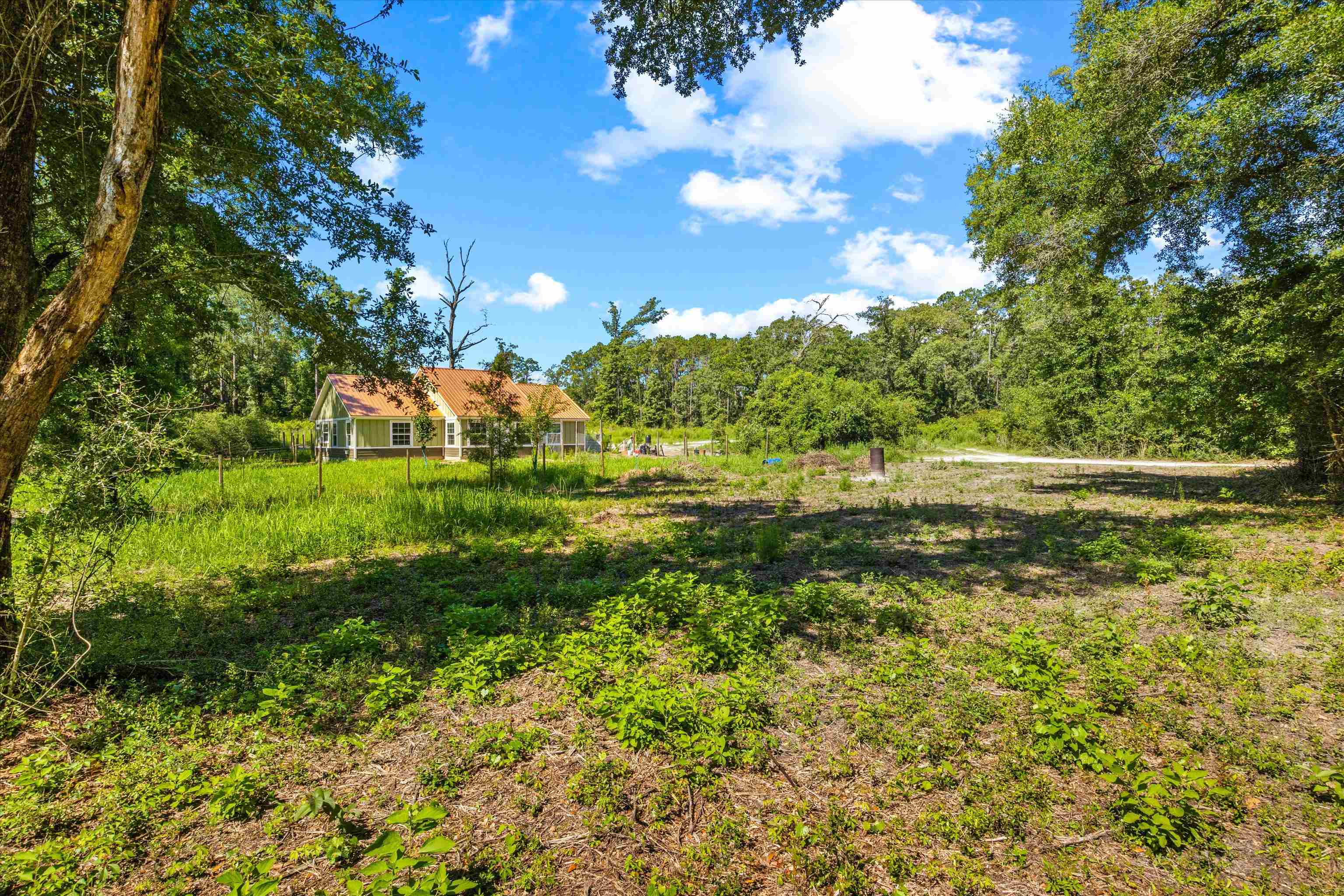 347 Bert Thomas Lane, Crawfordville, Texas image 34
