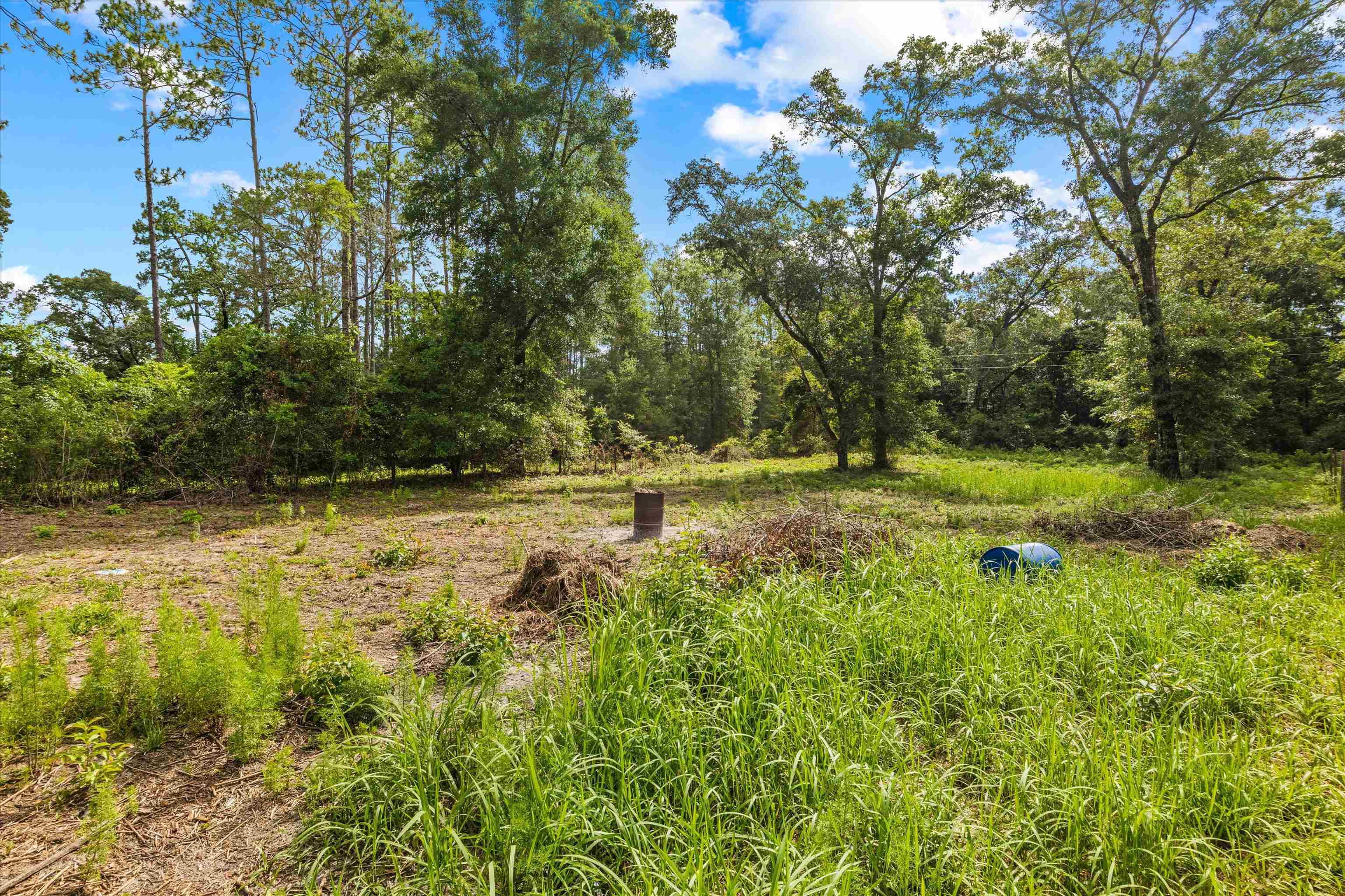 347 Bert Thomas Lane, Crawfordville, Texas image 35
