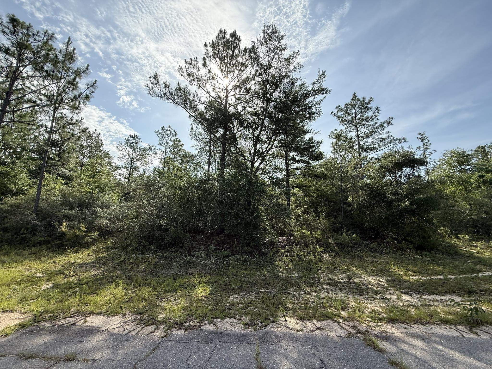 Sullivan Drive #2, Chipley, Florida image 4