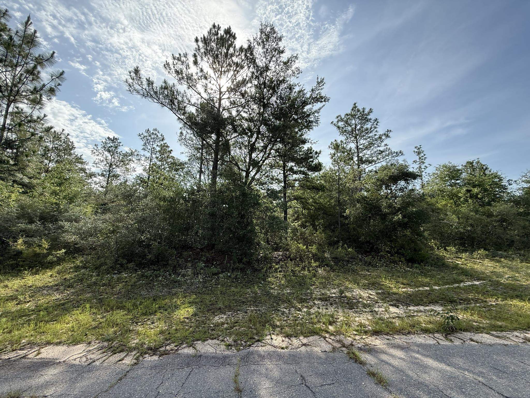 Sullivan Drive #2, Chipley, Florida image 5