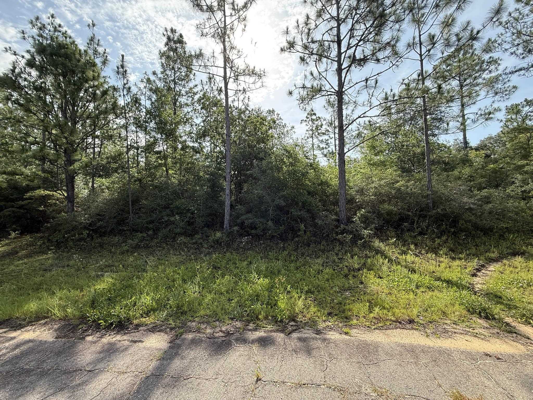 Sullivan Drive #2, Chipley, Florida image 7