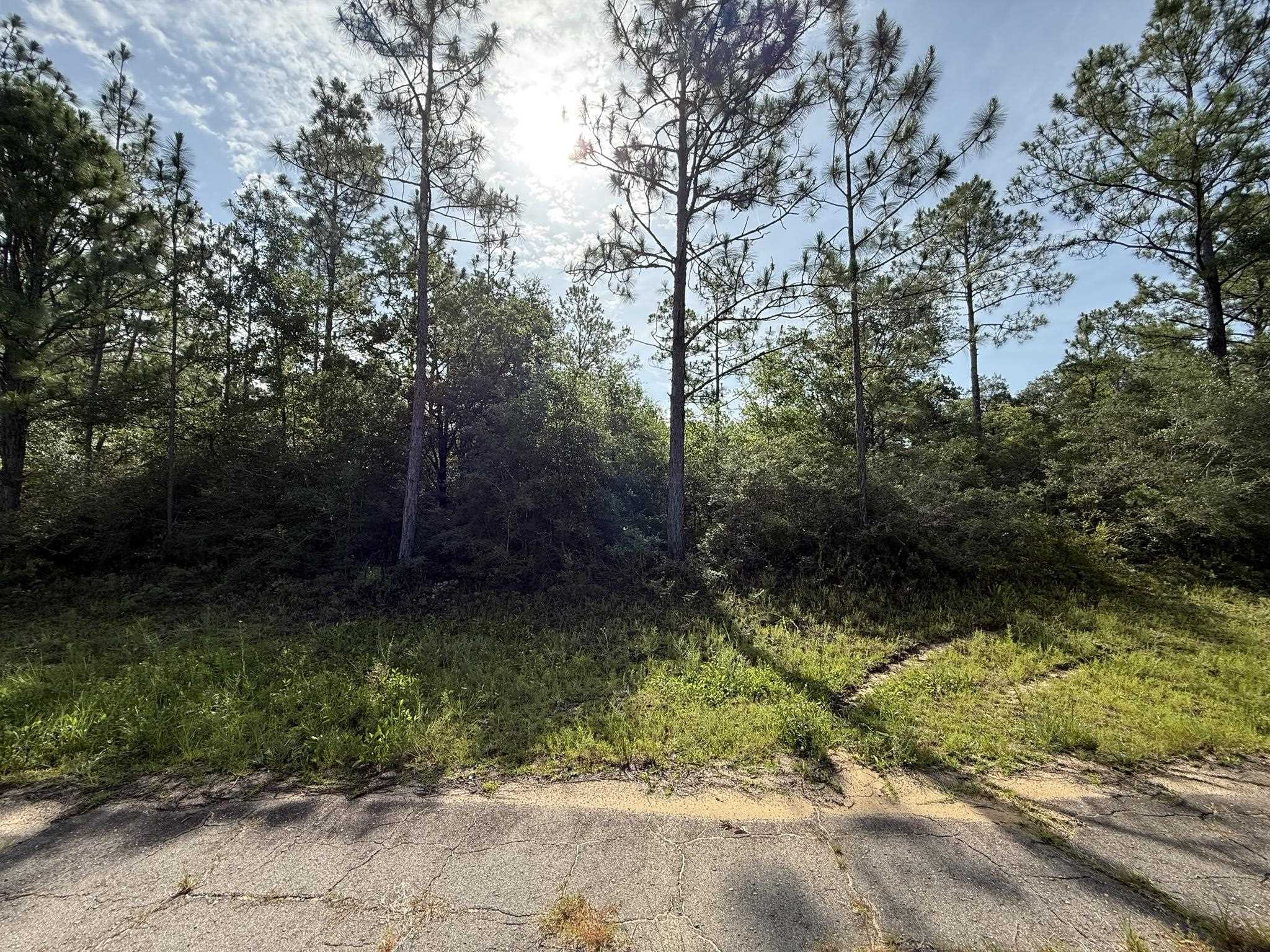 Sullivan Drive #2, Chipley, Florida image 9